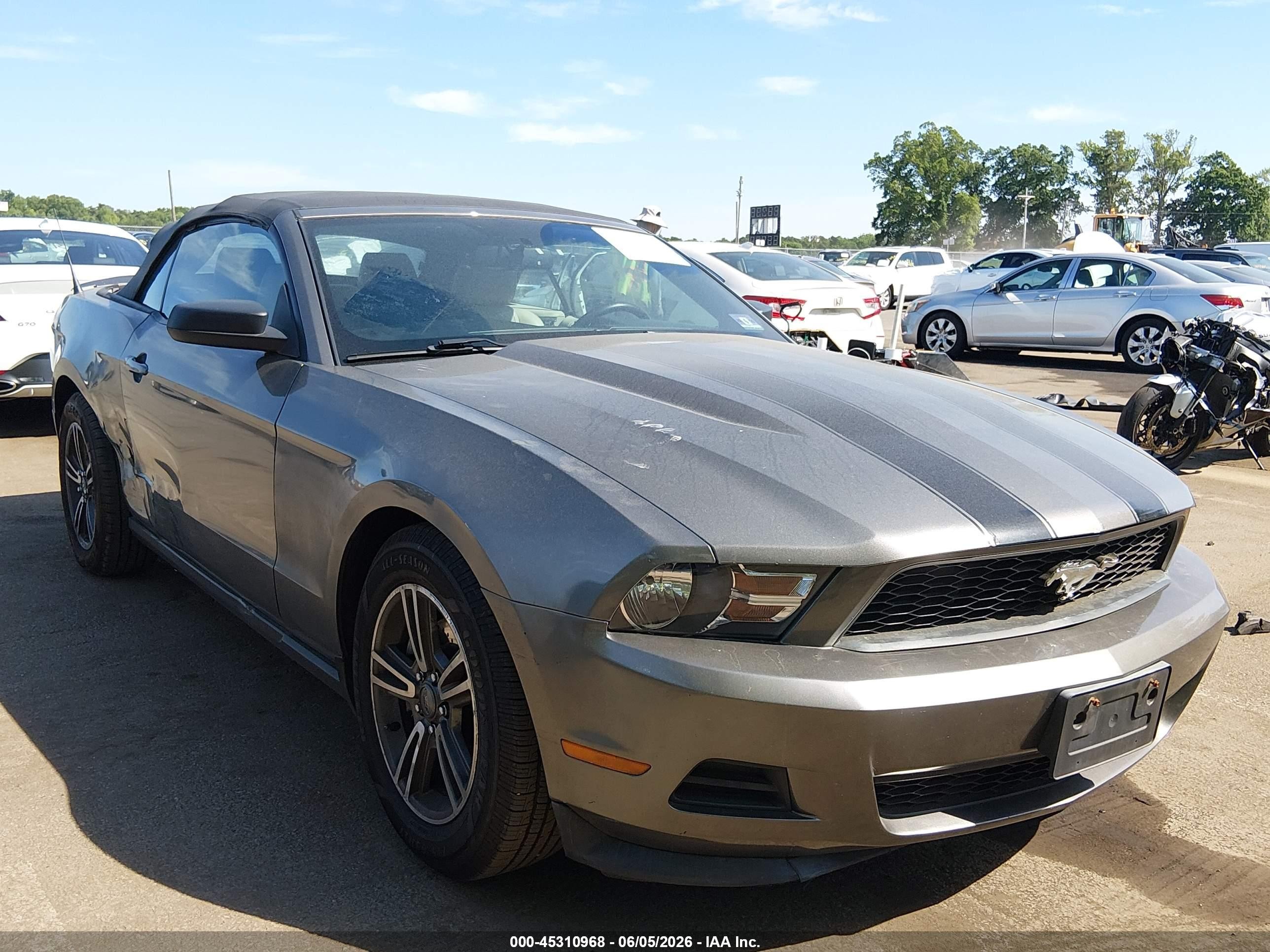 2011 Ford Mustang V6 Premium Black vin: 1ZVBP8EM0B5159456