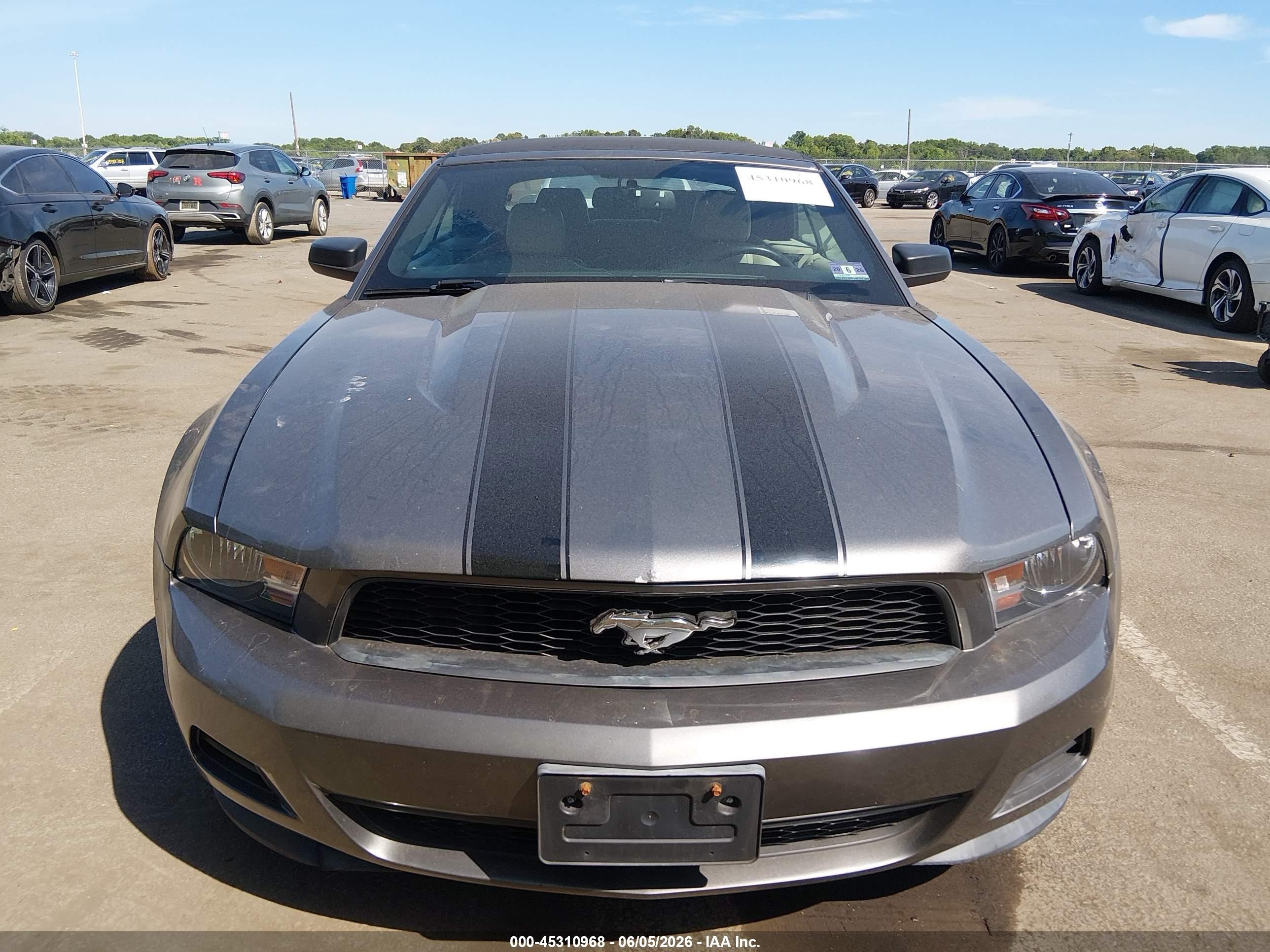 2011 Ford Mustang V6 Premium Black vin: 1ZVBP8EM0B5159456