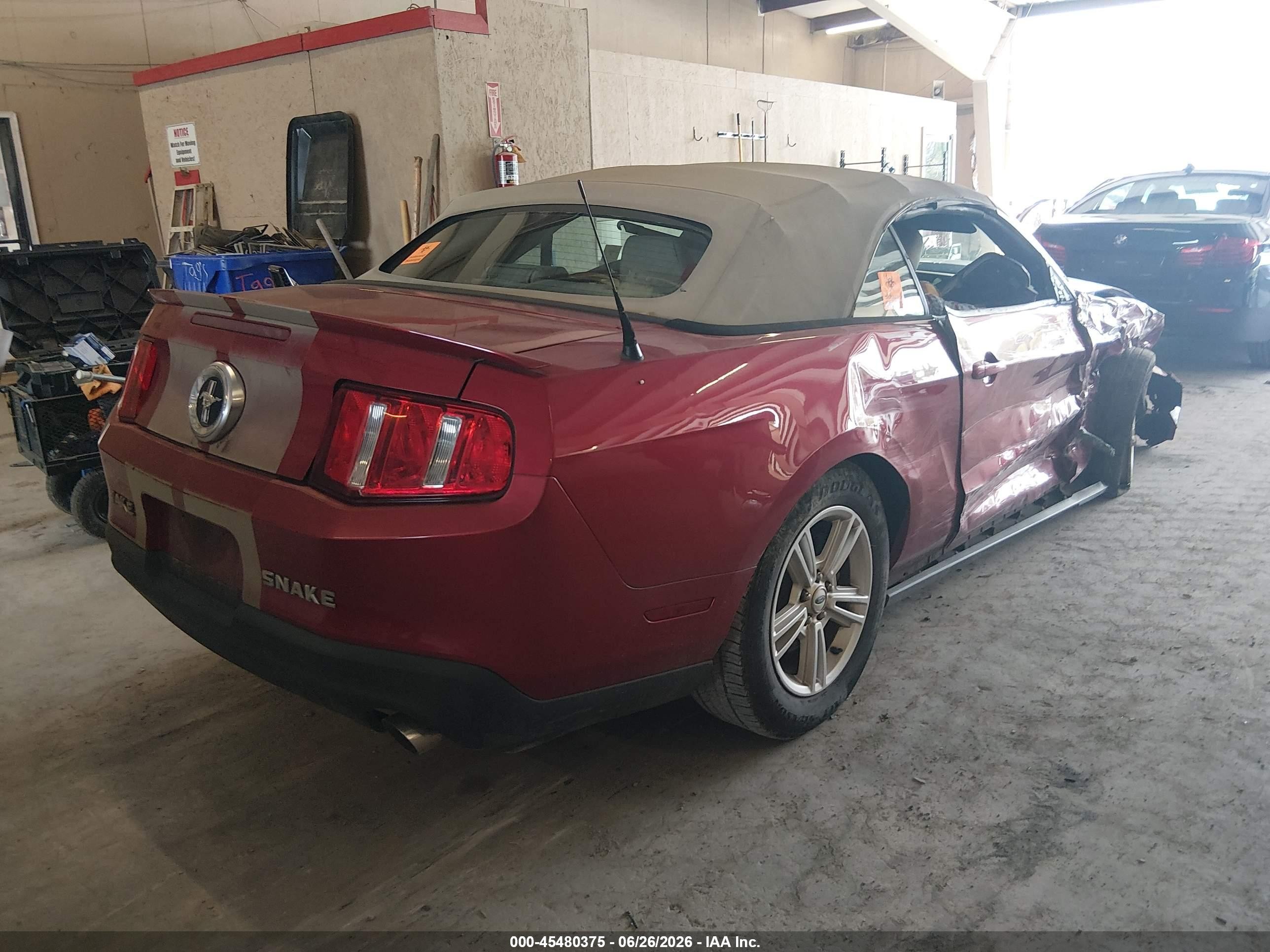 2012 Ford Mustang V6/v6 Premium Красный vin: 1ZVBP8EM0C5211489