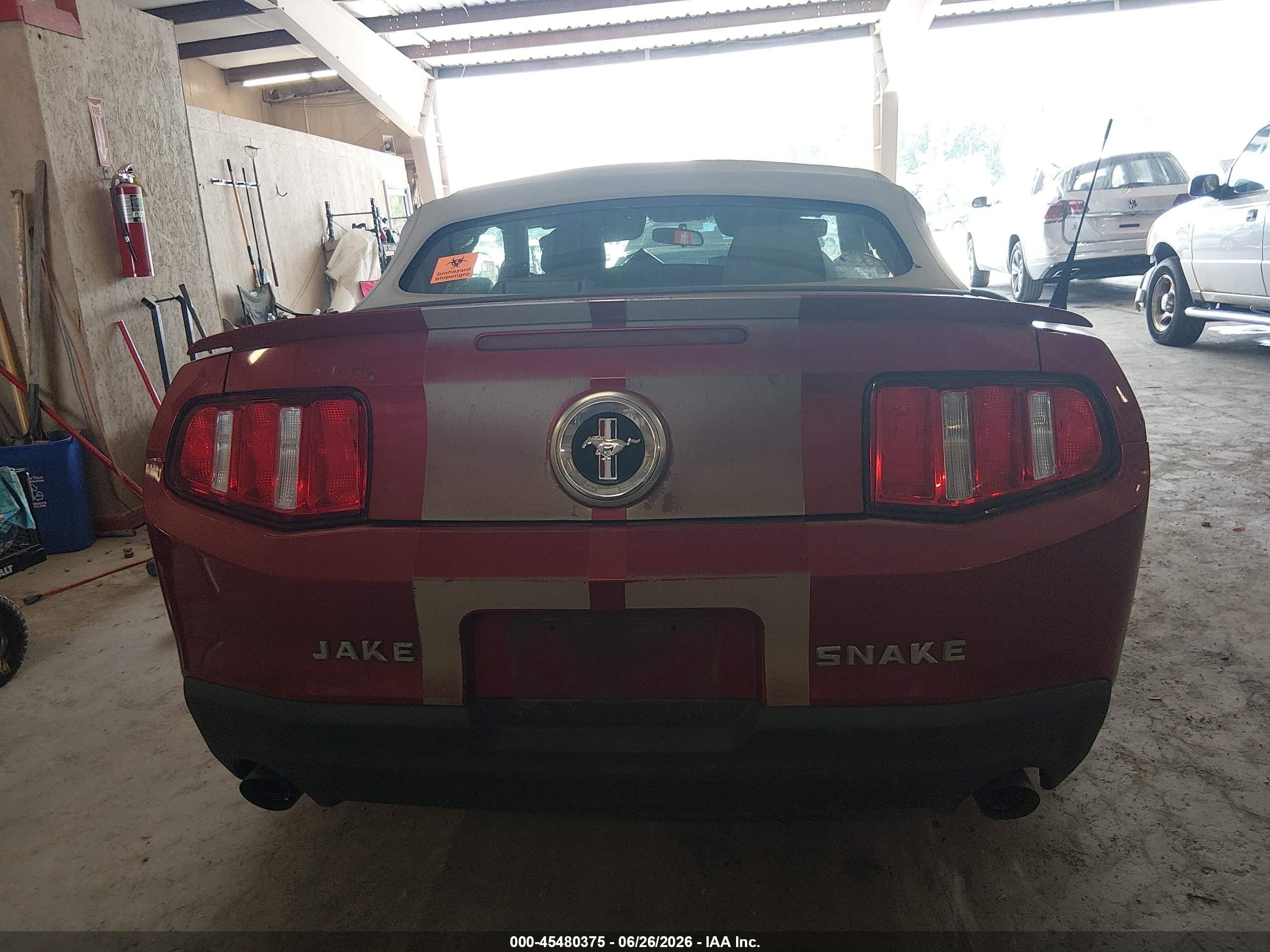 2012 Ford Mustang V6/v6 Premium Красный vin: 1ZVBP8EM0C5211489