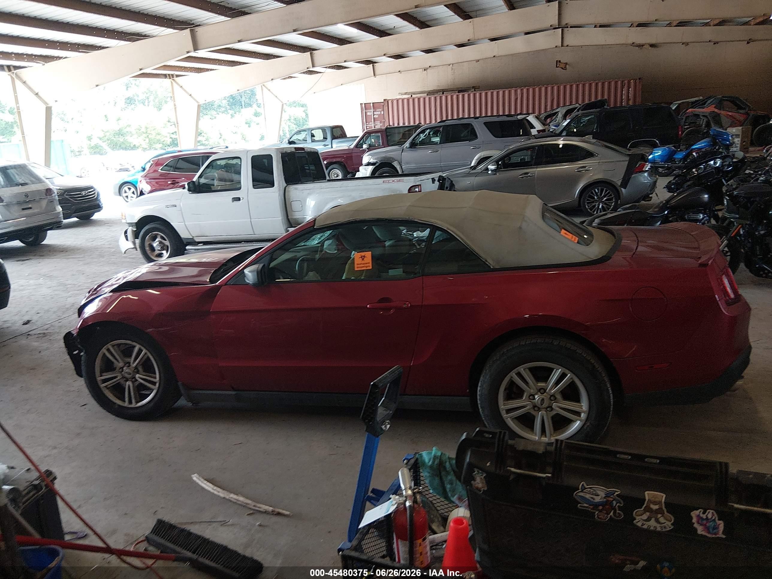 2012 Ford Mustang V6/v6 Premium Красный vin: 1ZVBP8EM0C5211489