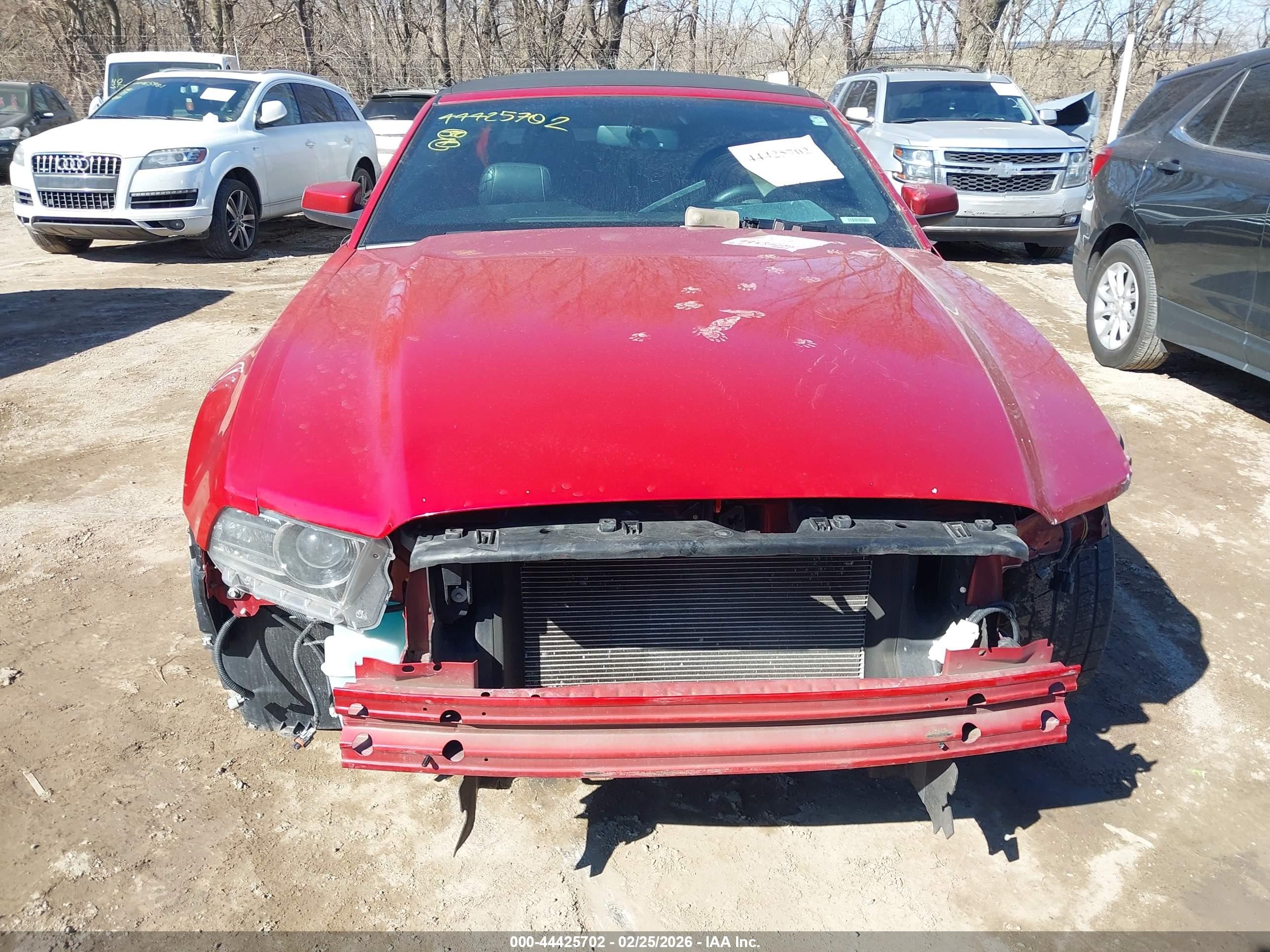 2013 Ford Mustang V6 Premium vin: 1ZVBP8EM0D5235518