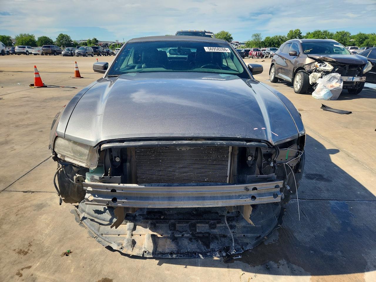 2013 Ford Mustang Серый vin: 1ZVBP8EM0D5275159