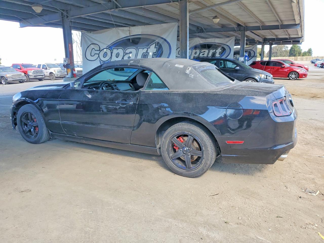 2013 Ford Mustang Black vin: 1ZVBP8EM1D5203919