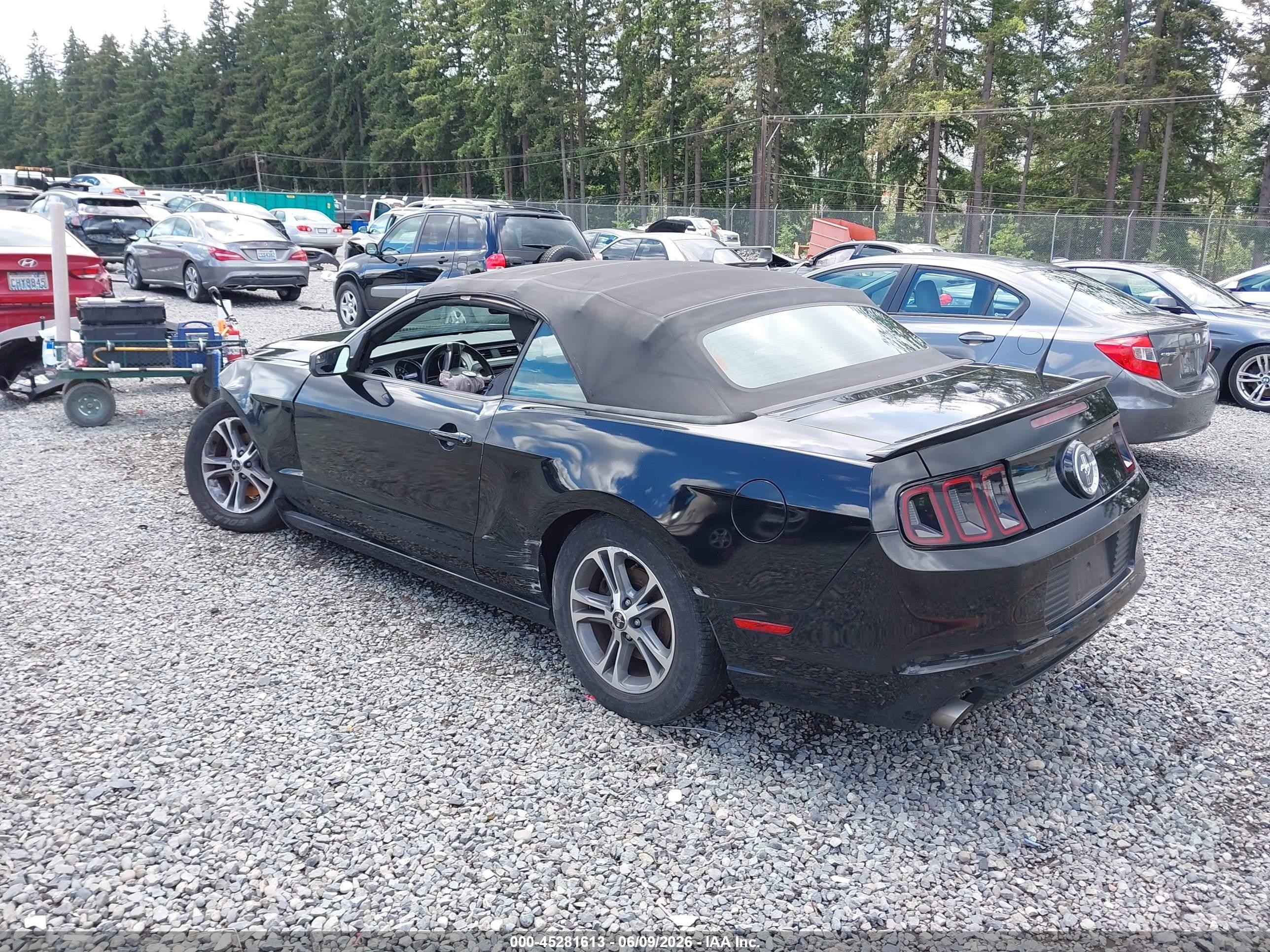2014 Ford Mustang V6 Premium Black vin: 1ZVBP8EM1E5265144