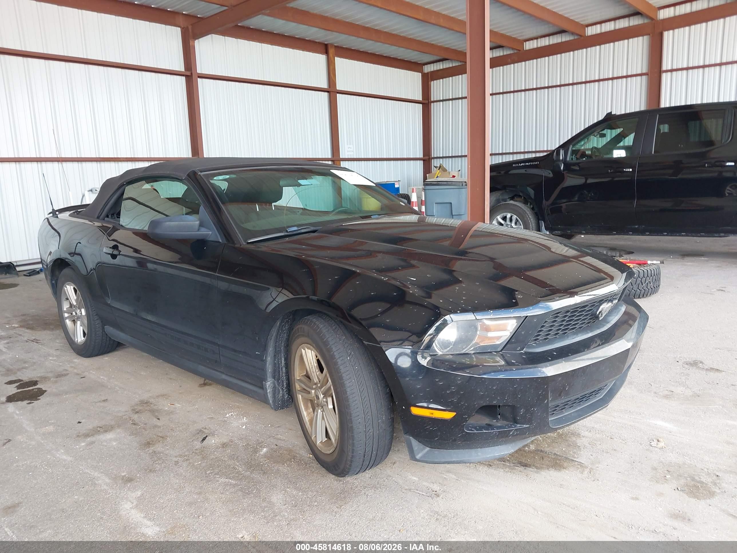 2011 Ford Mustang V6 Black vin: 1ZVBP8EM2B5153111