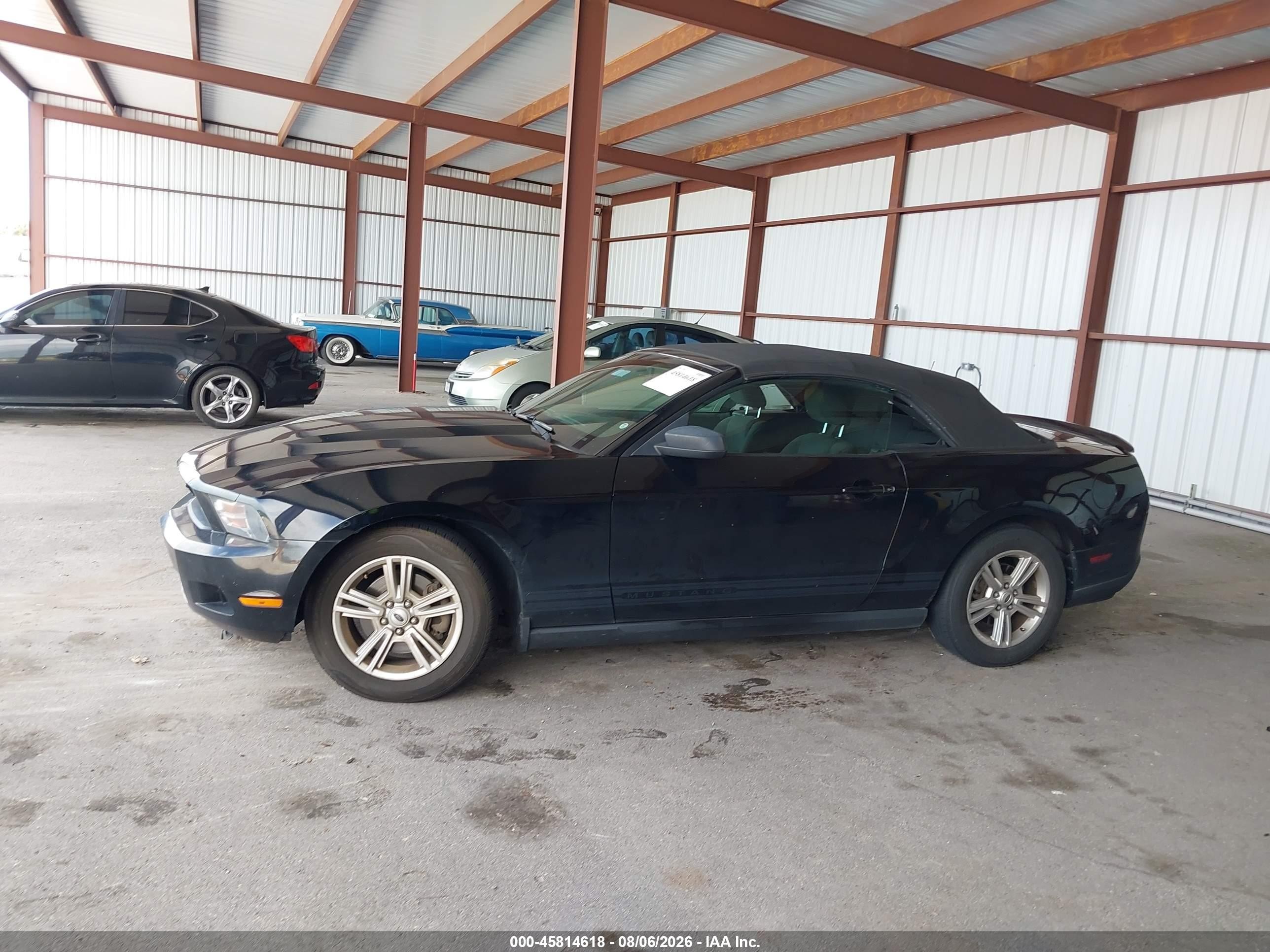 2011 Ford Mustang V6 Black vin: 1ZVBP8EM2B5153111