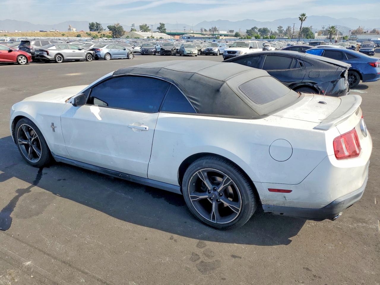 2011 Ford Mustang White vin: 1ZVBP8EM2B5159040