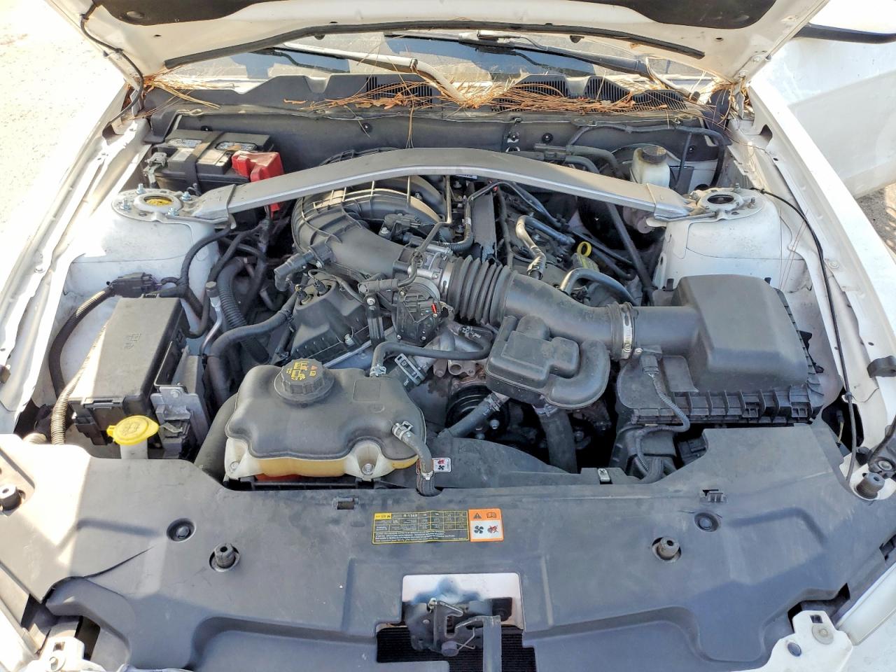 2011 Ford Mustang White vin: 1ZVBP8EM2B5159040