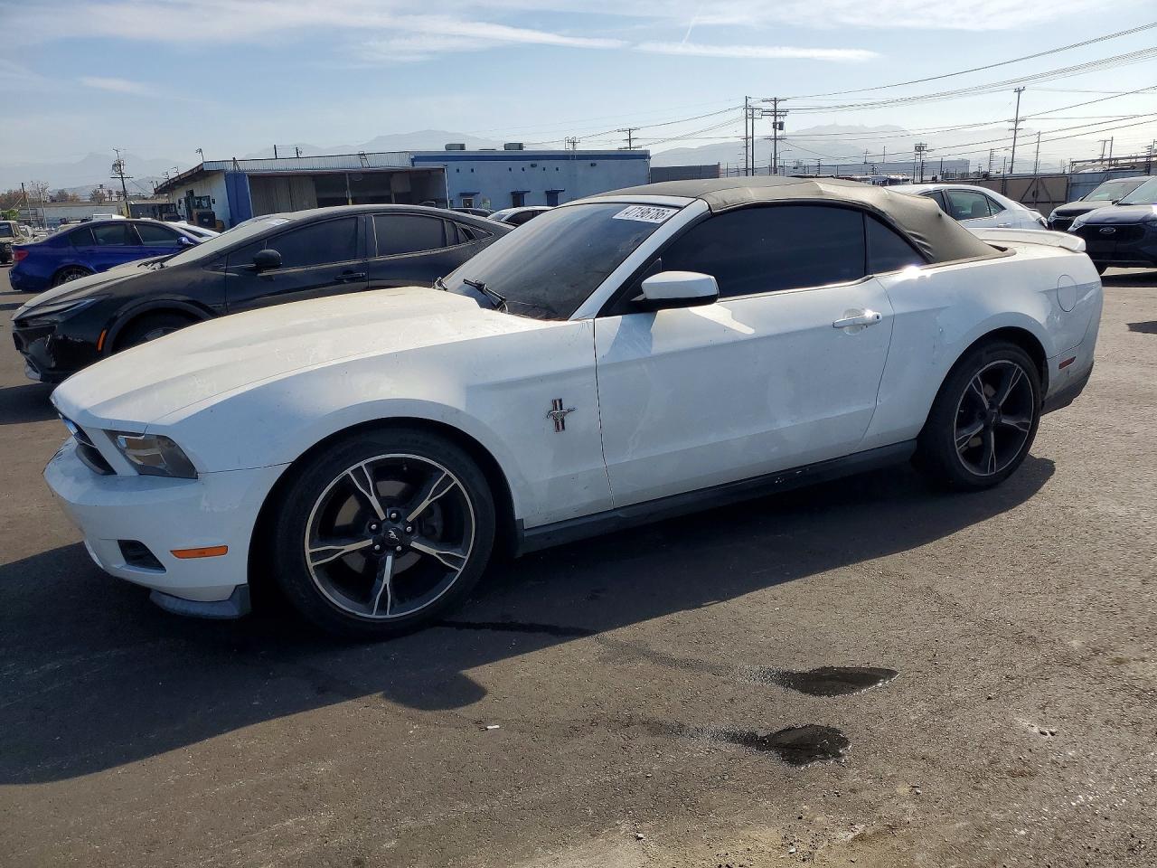 2011 Ford Mustang White vin: 1ZVBP8EM2B5159040