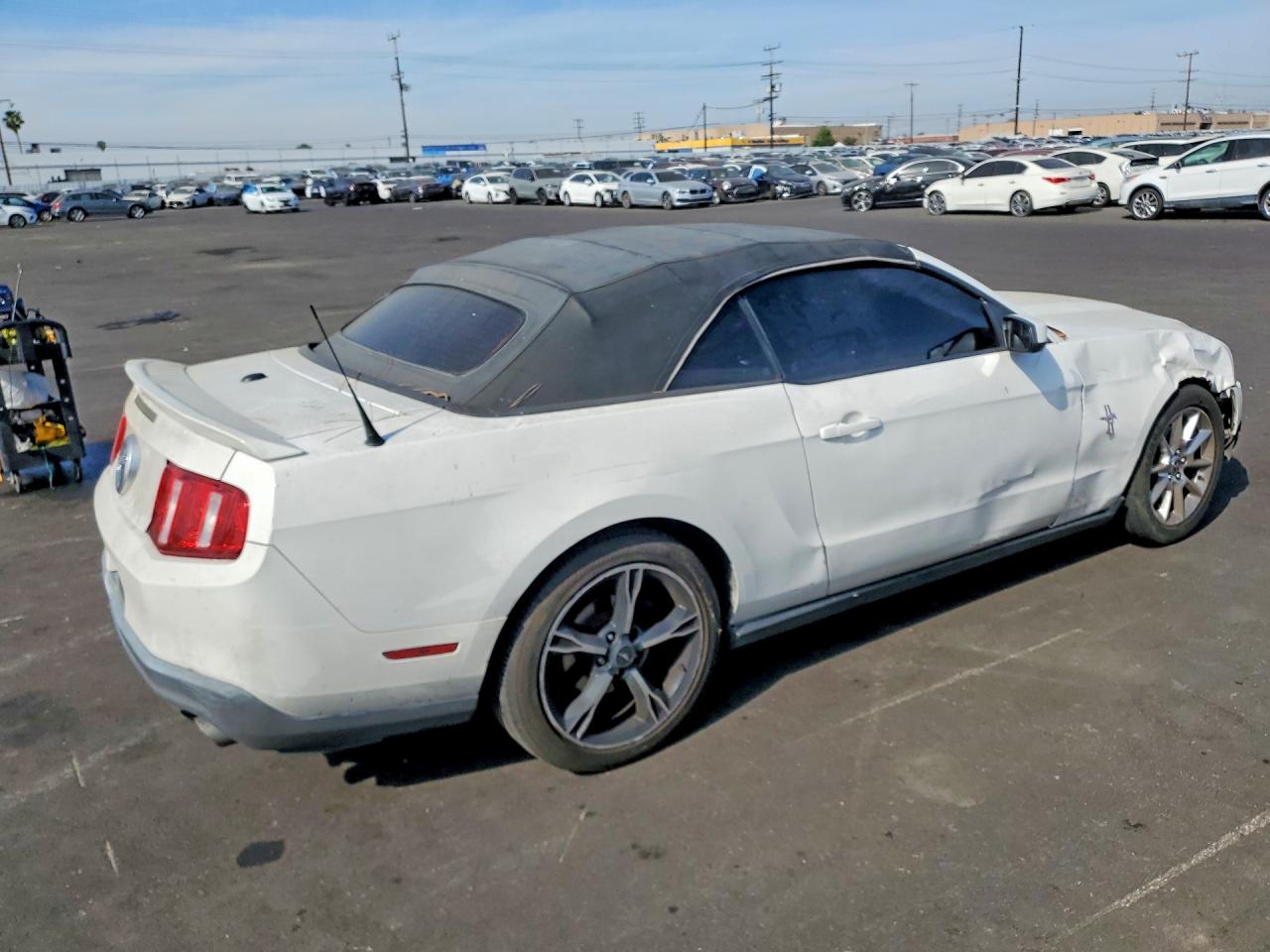 2011 Ford Mustang White vin: 1ZVBP8EM2B5159040