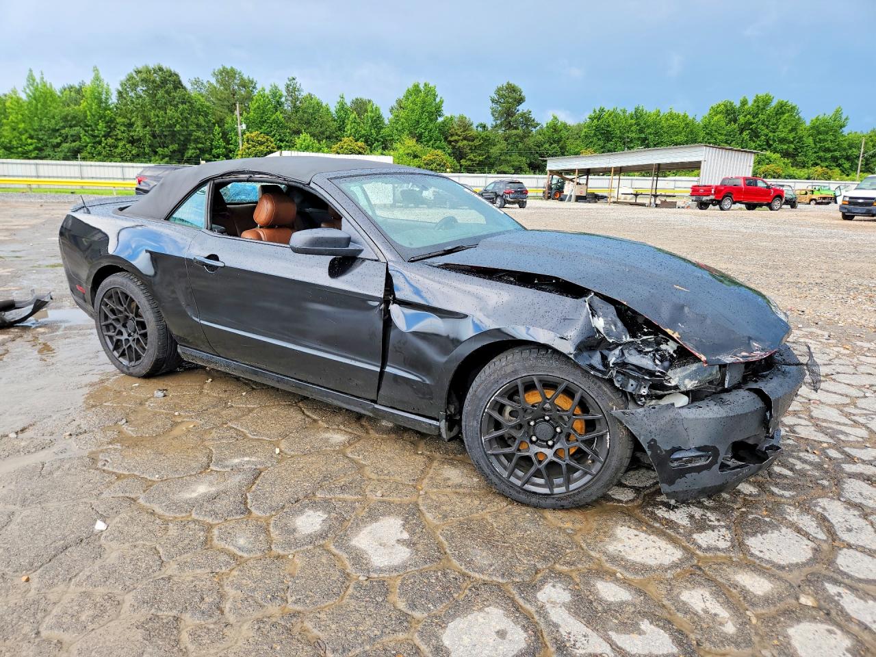 2012 Ford Mustang Black vin: 1ZVBP8EM2C5286789