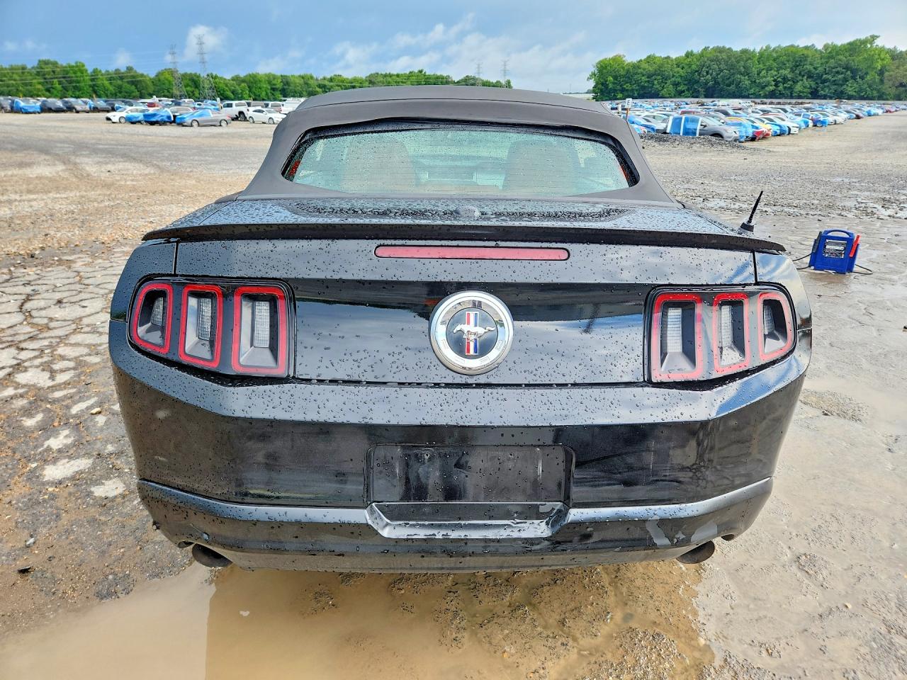 2012 Ford Mustang Black vin: 1ZVBP8EM2C5286789