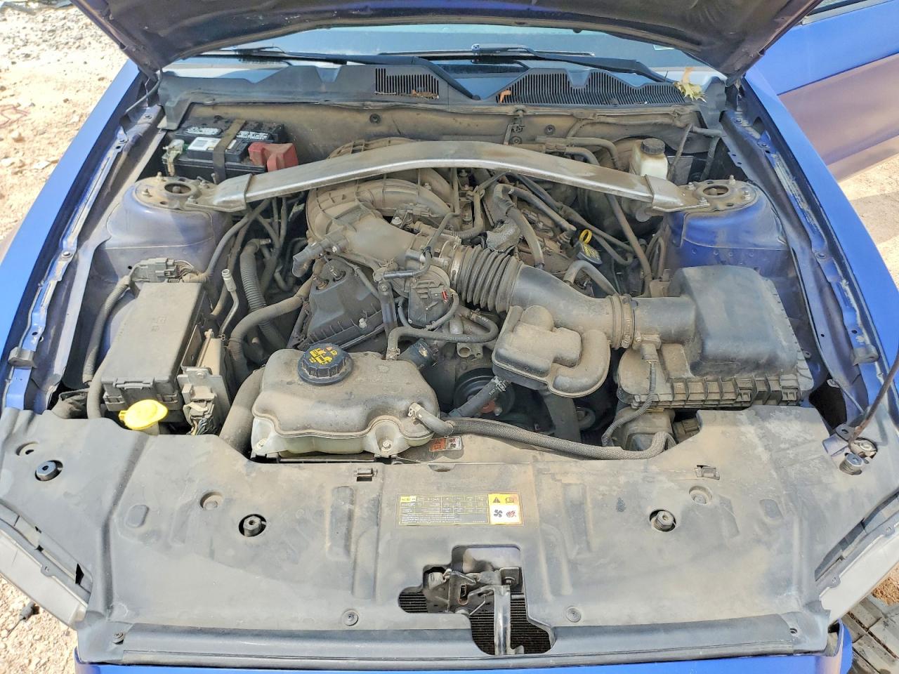 2013 Ford Mustang Blue vin: 1ZVBP8EM2D5203590