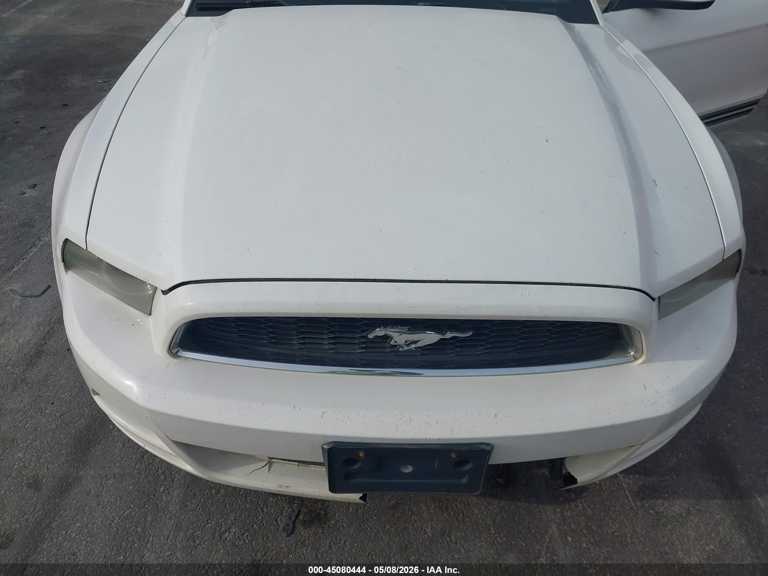 2013 Ford Mustang V6 Premium White vin: 1ZVBP8EM2D5213956