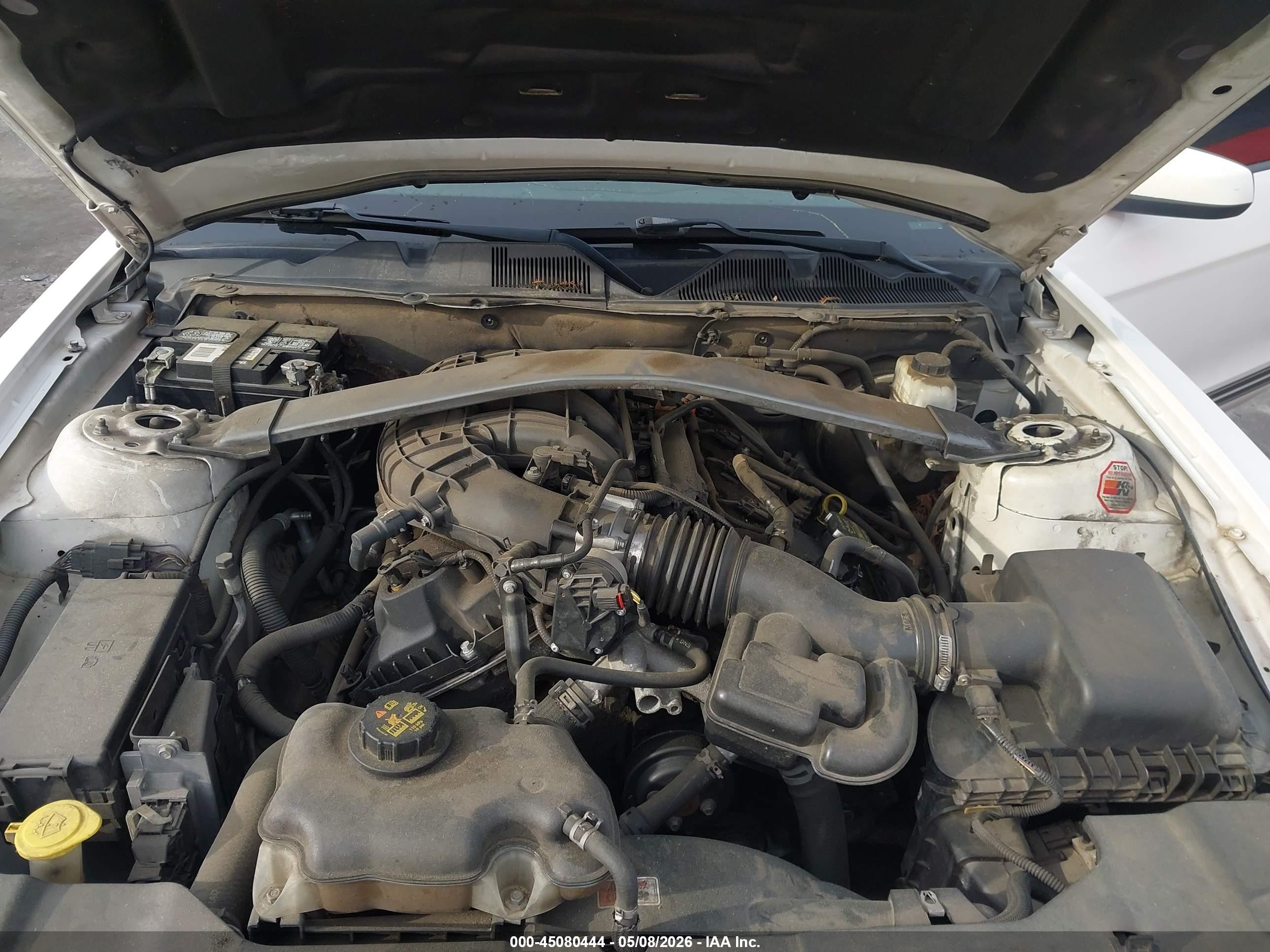 2013 Ford Mustang V6 Premium White vin: 1ZVBP8EM2D5213956