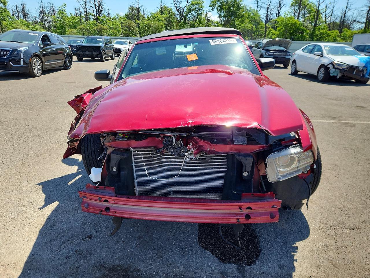 2014 Ford Mustang Red vin: 1ZVBP8EM2E5205499