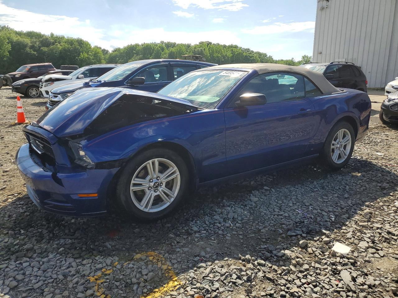 2014 Ford Mustang Blue vin: 1ZVBP8EM2E5261765