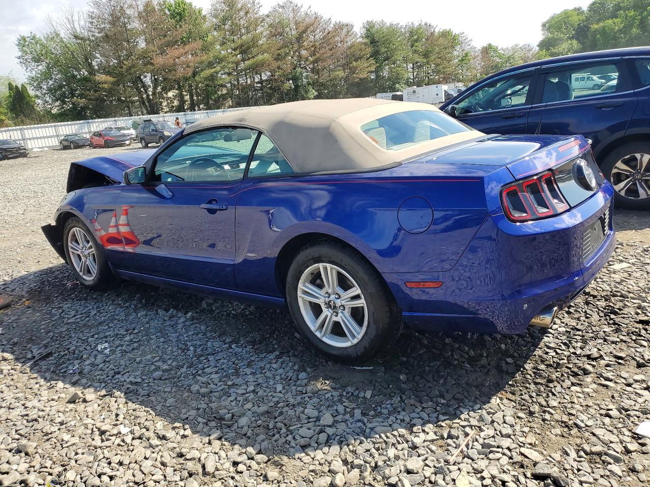 2014 Ford Mustang Blue vin: 1ZVBP8EM2E5261765
