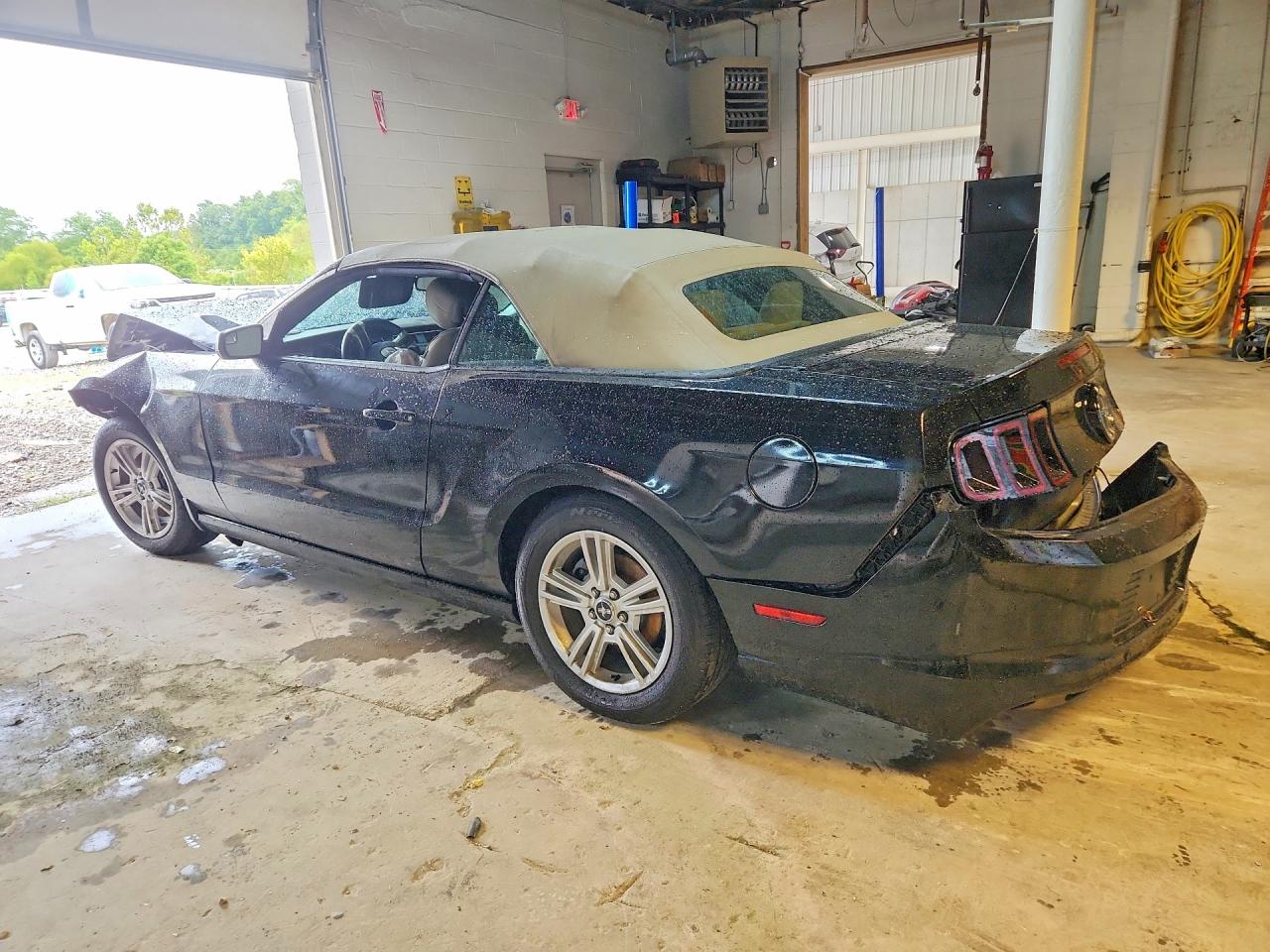2014 Ford Mustang Black vin: 1ZVBP8EM2E5331555
