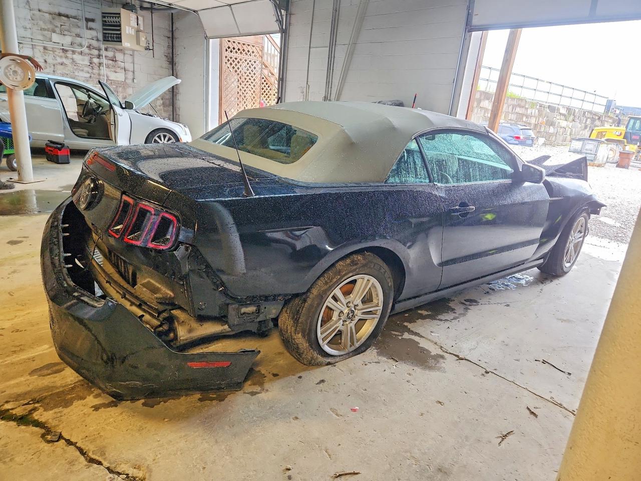 2014 Ford Mustang Black vin: 1ZVBP8EM2E5331555
