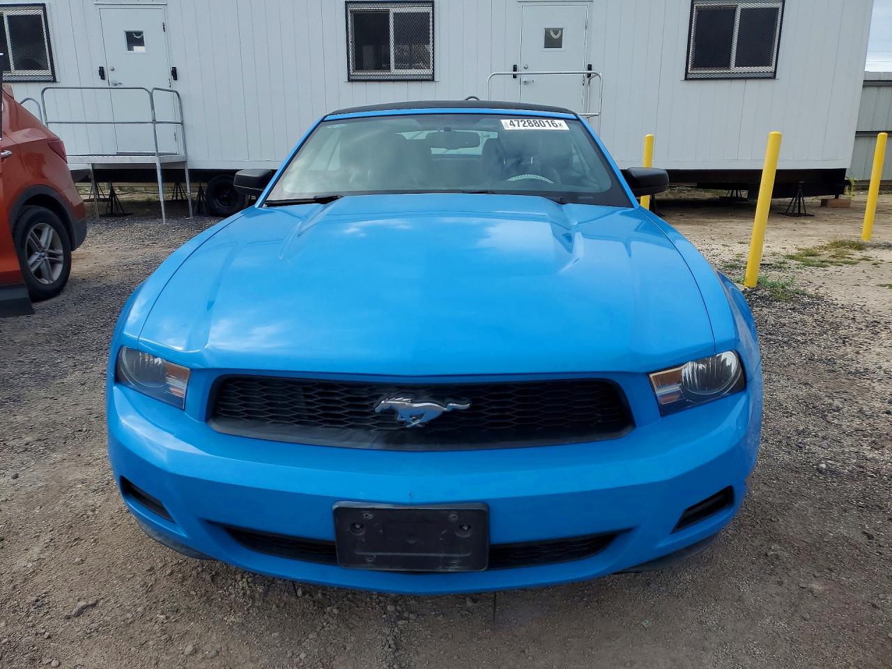 2011 Ford Mustang Blue vin: 1ZVBP8EM3B5145664