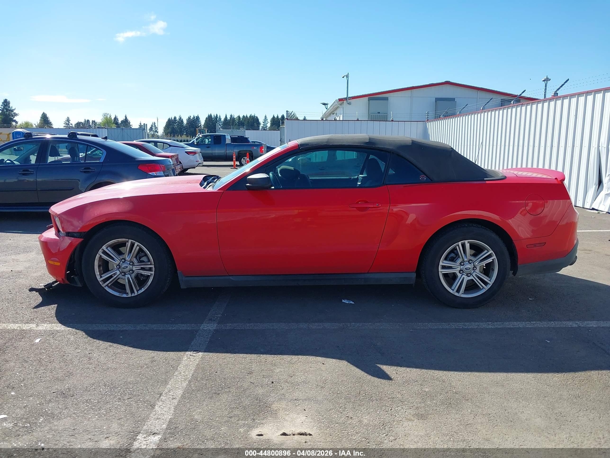2011 Ford Mustang V6 Red vin: 1ZVBP8EM3B5159273