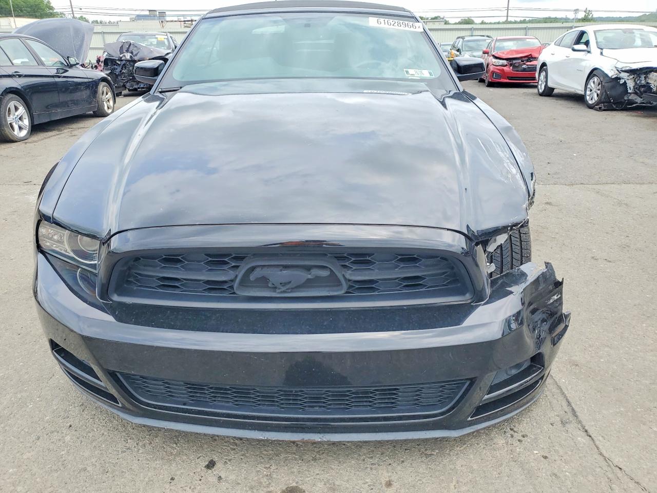 2013 Ford Mustang Black vin: 1ZVBP8EM3D5225713