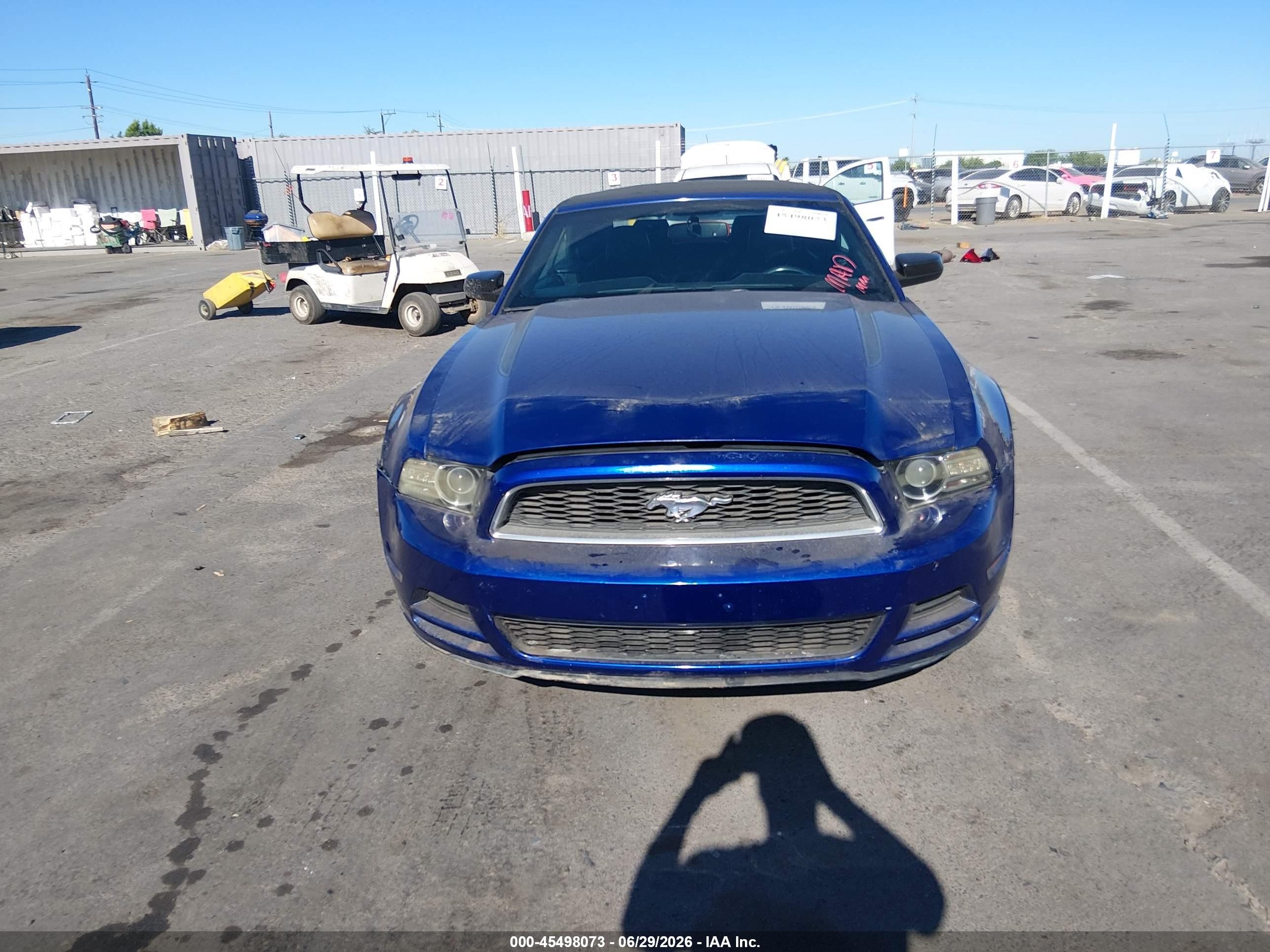 2013 Ford Mustang V6 Premium Blue vin: 1ZVBP8EM3D5229504