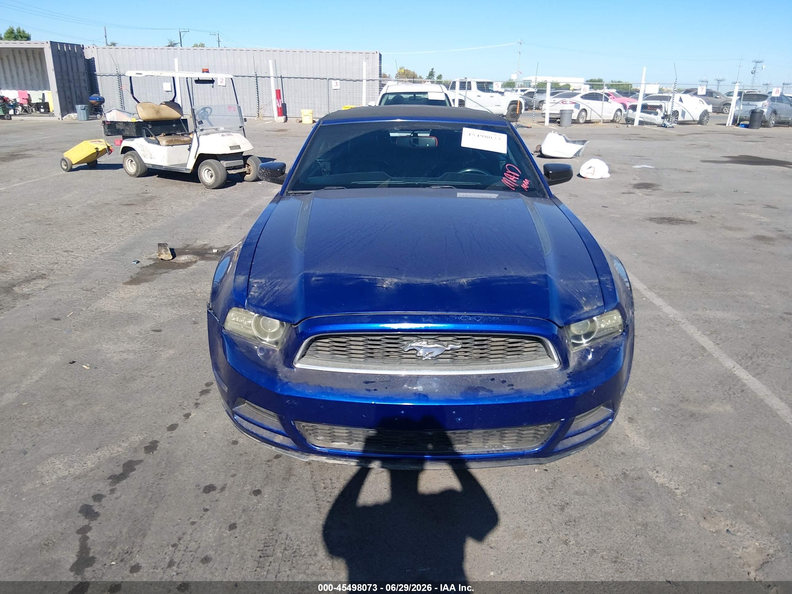 2013 Ford Mustang V6 Premium Blue vin: 1ZVBP8EM3D5229504