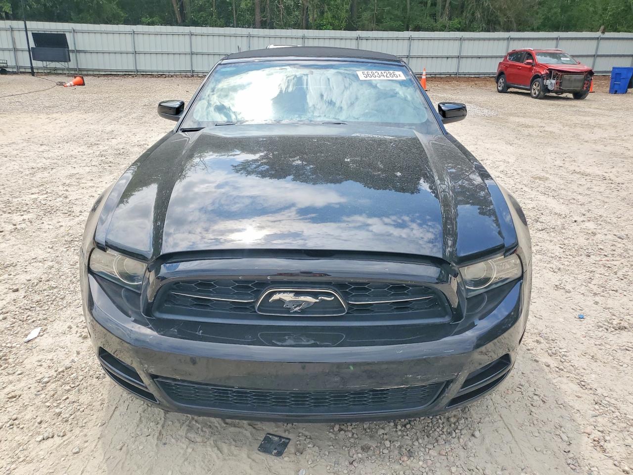 2013 Ford Mustang Black vin: 1ZVBP8EM3D5281537