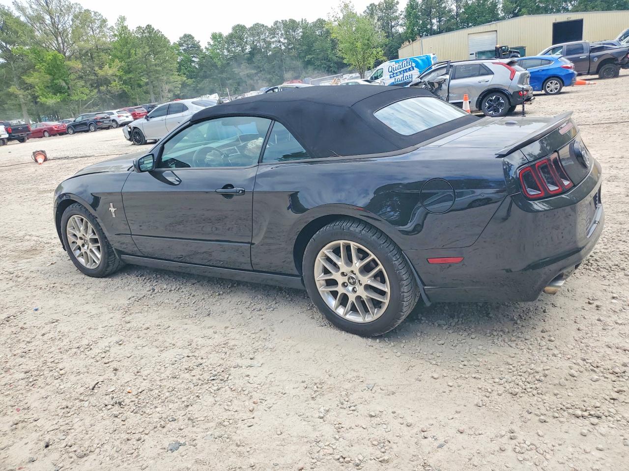 2013 Ford Mustang Black vin: 1ZVBP8EM3D5281537