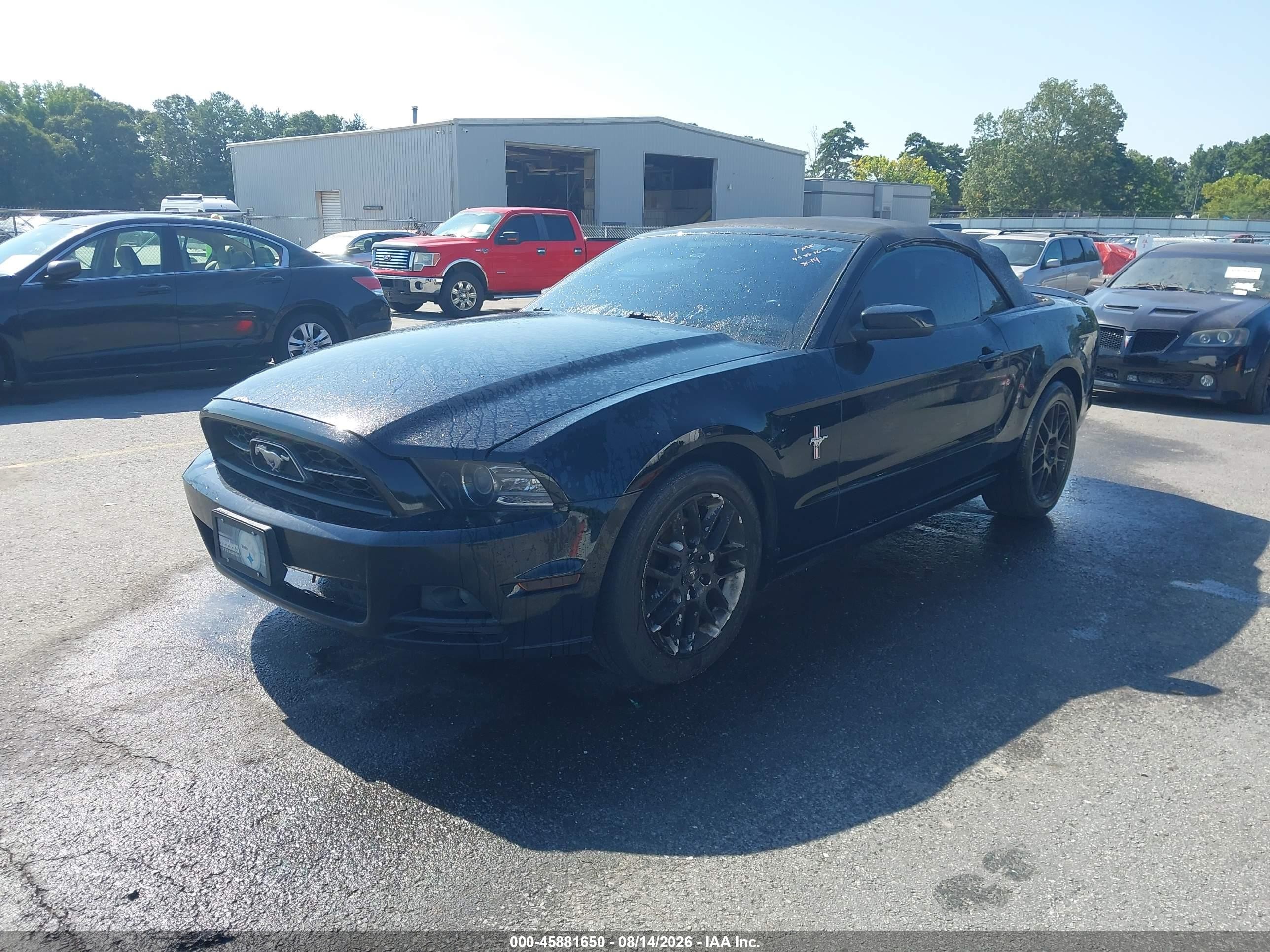 2014 Ford Mustang V6 Premium Черный vin: 1ZVBP8EM3E5241119