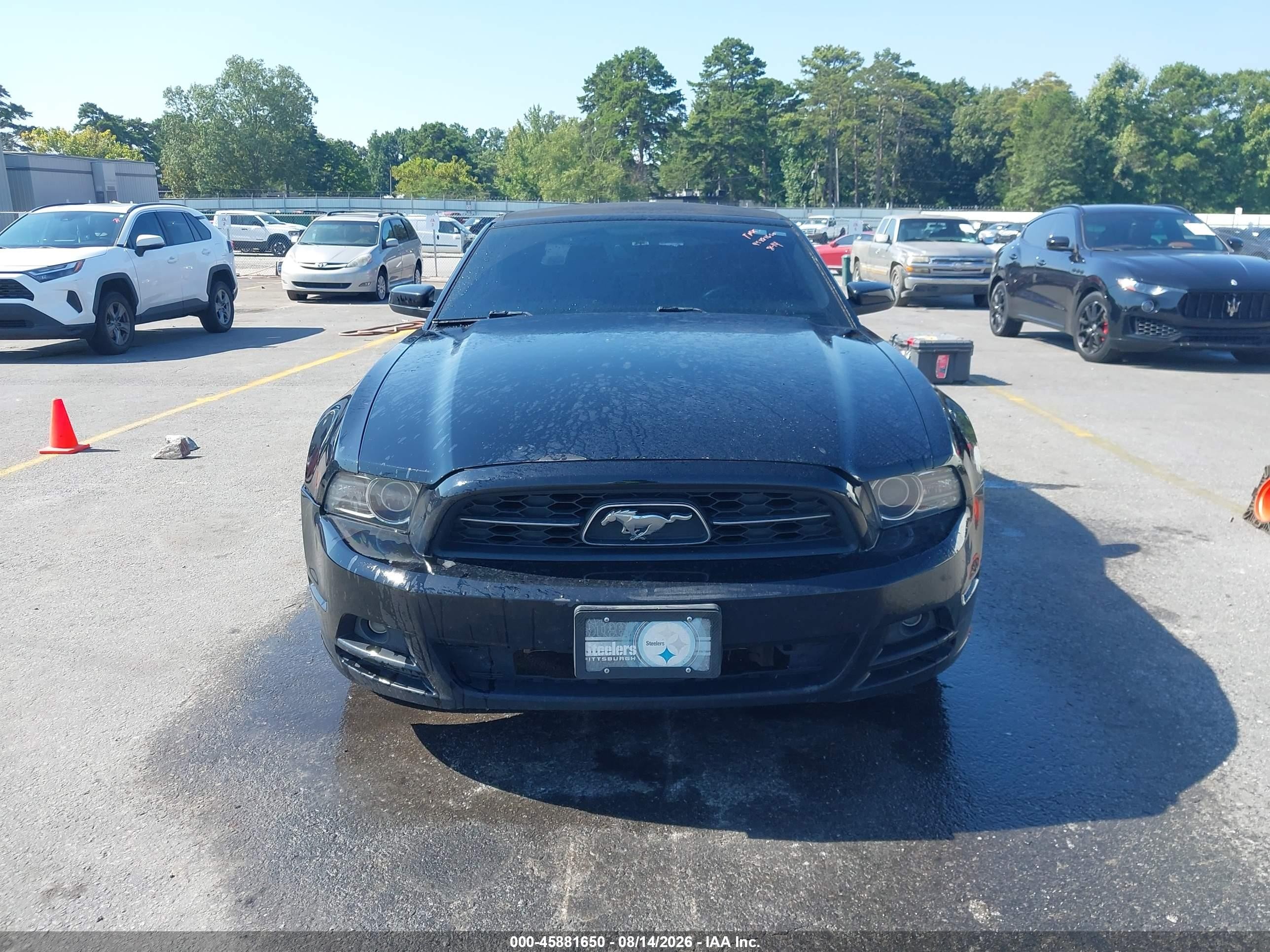2014 Ford Mustang V6 Premium Черный vin: 1ZVBP8EM3E5241119