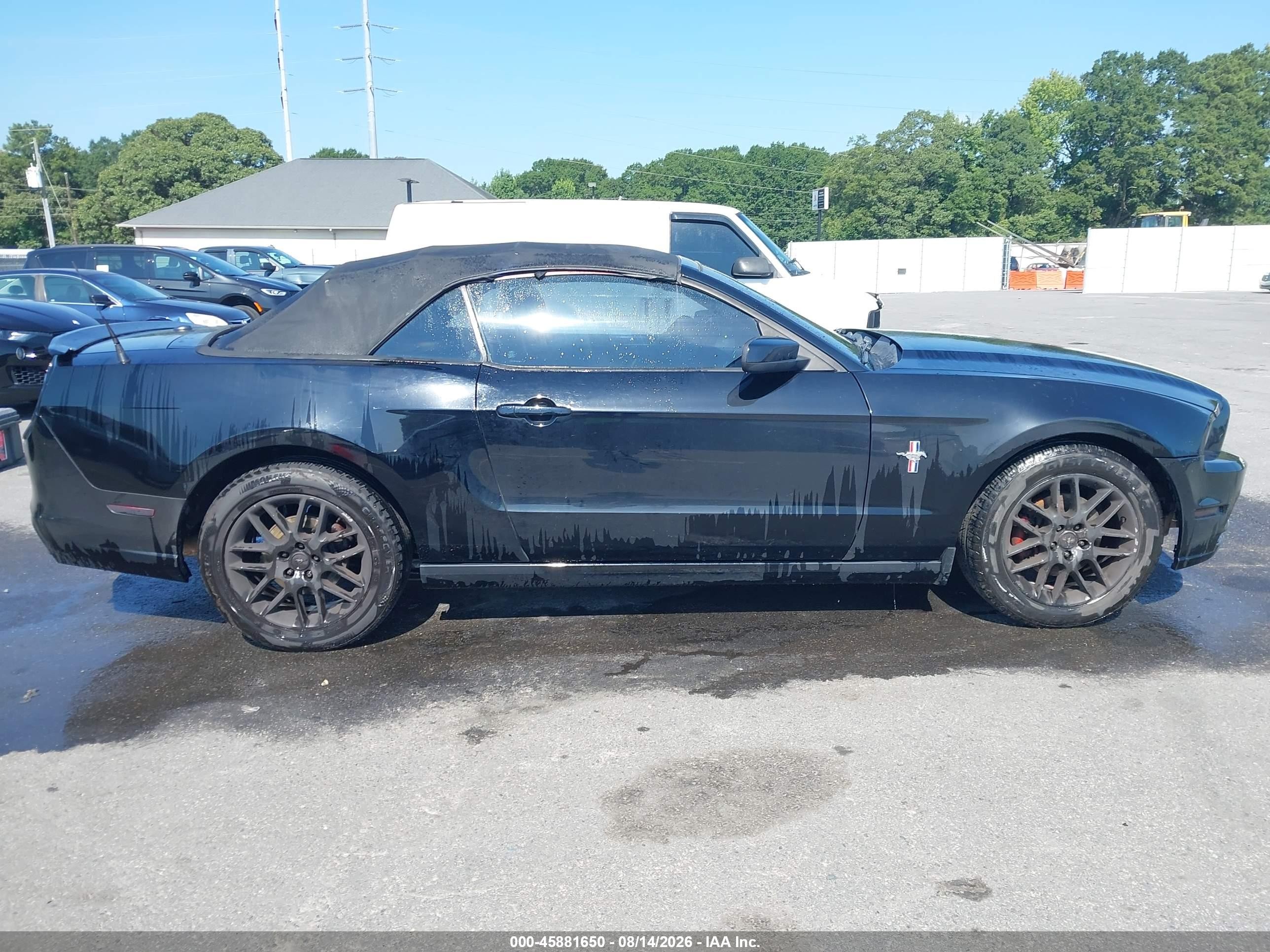 2014 Ford Mustang V6 Premium Черный vin: 1ZVBP8EM3E5241119