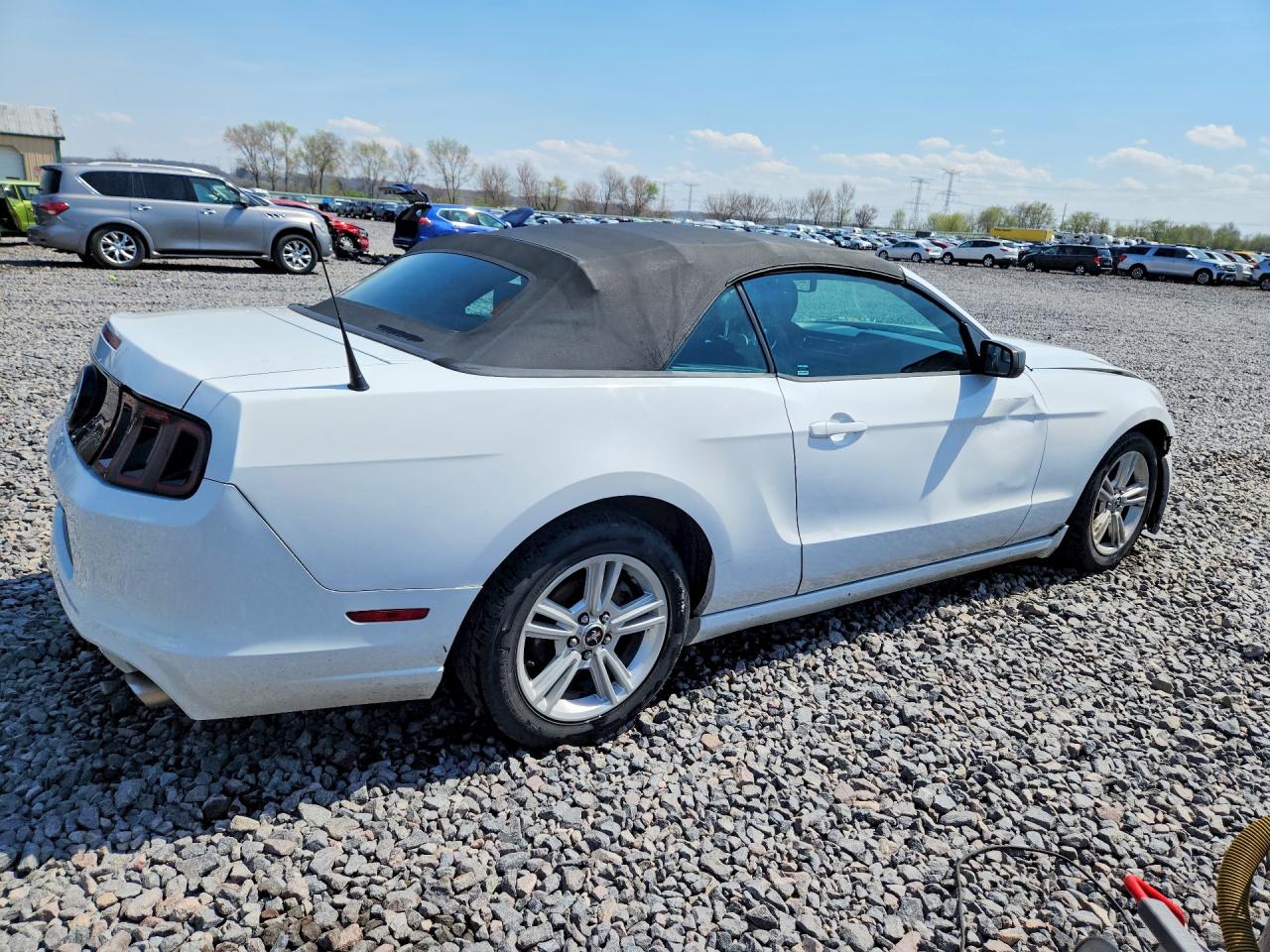 2014 Ford Mustang White vin: 1ZVBP8EM3E5313923