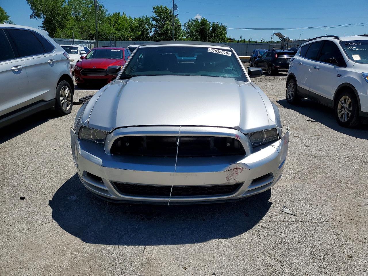 2013 Ford Mustang Gray vin: 1ZVBP8EM4D5227373