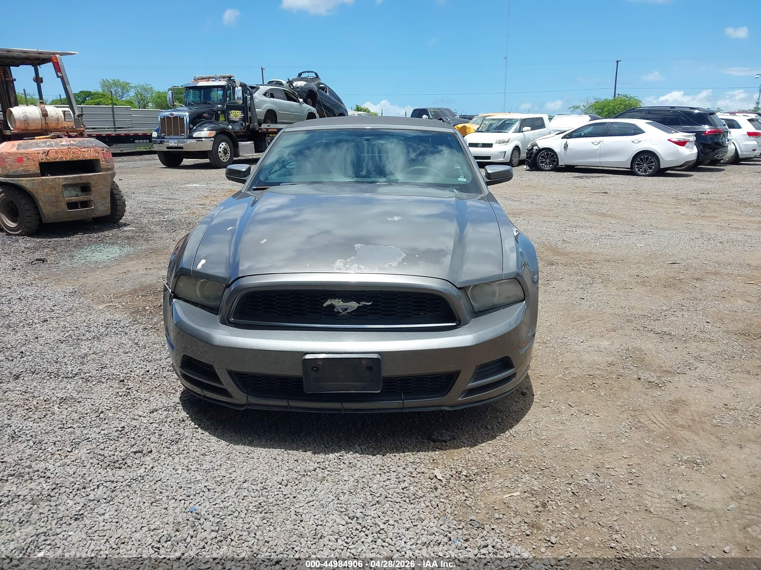 2013 Ford Mustang V6 Premium Gray vin: 1ZVBP8EM4D5264813