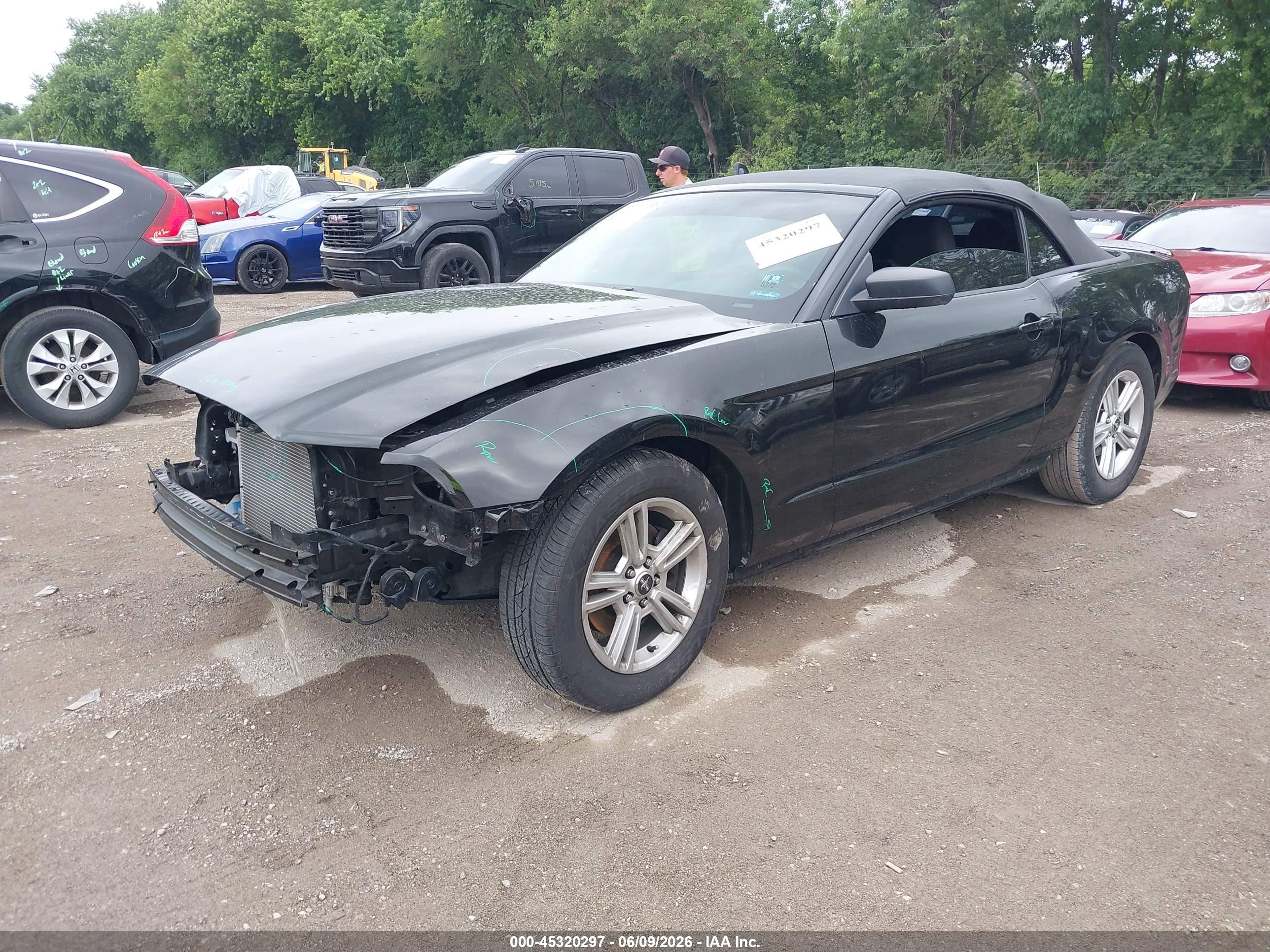 2014 Ford Mustang V6 Black vin: 1ZVBP8EM4E5213121