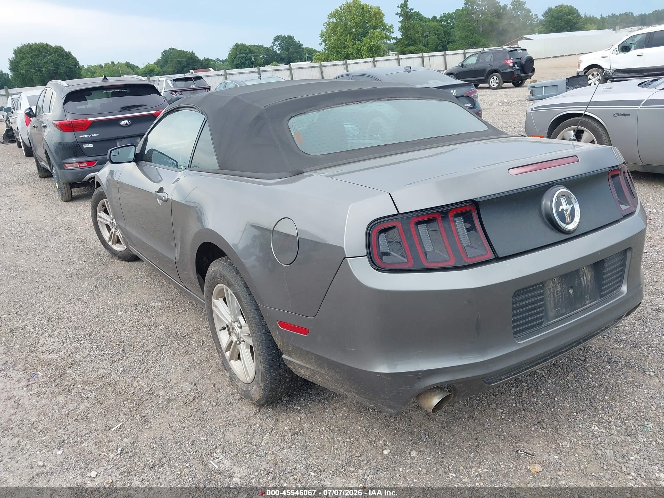 2014 Ford Mustang V6/v6 Premium Серый vin: 1ZVBP8EM4E5292791