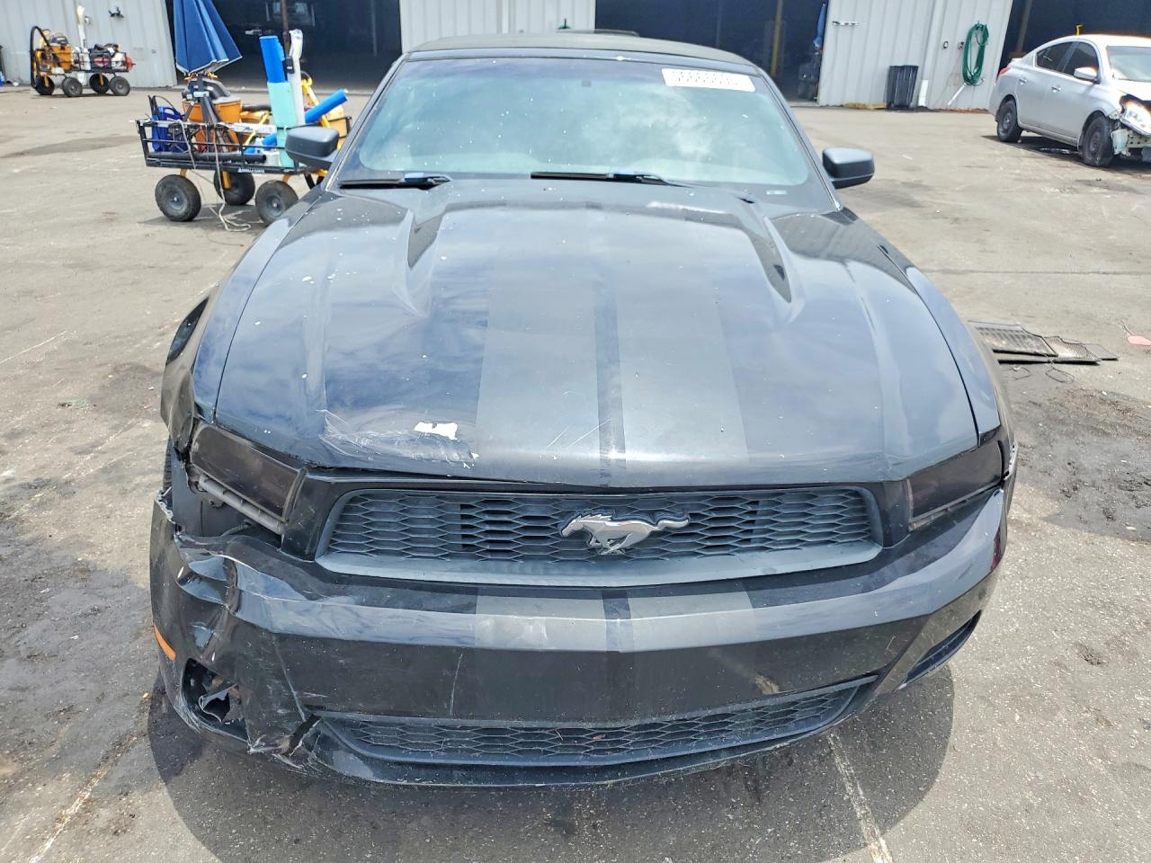2011 Ford Mustang Black vin: 1ZVBP8EM5B5108907