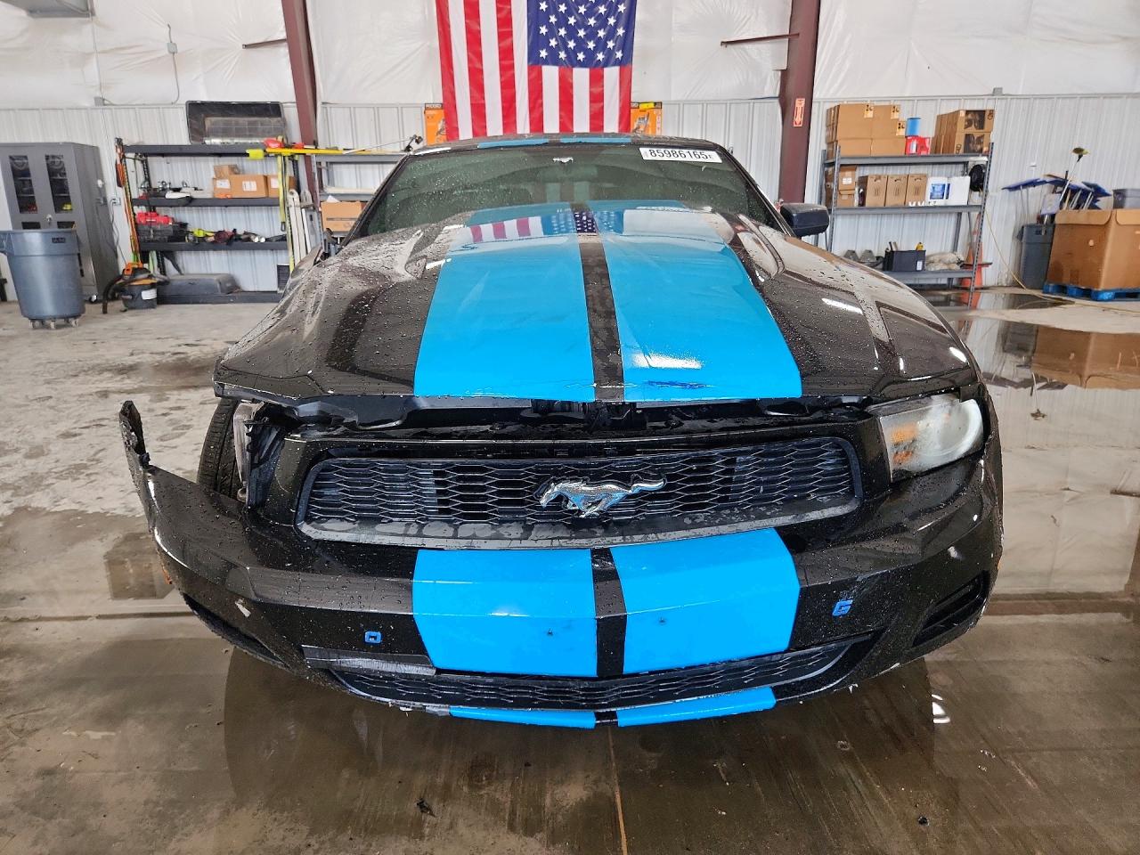 2011 Ford Mustang Black vin: 1ZVBP8EM5B5129059