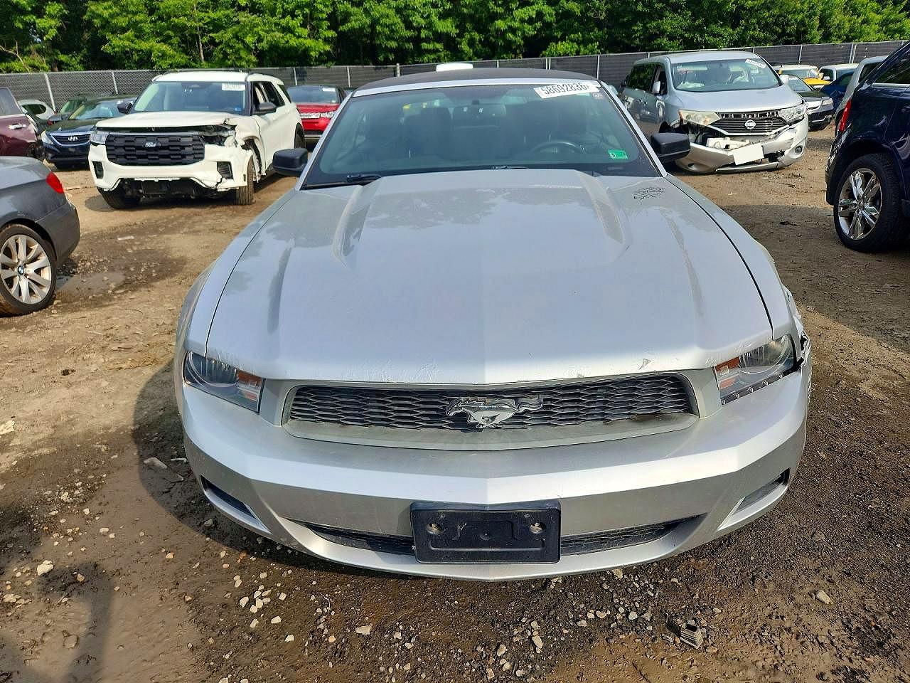 2012 Ford Mustang Silver vin: 1ZVBP8EM5C5222309