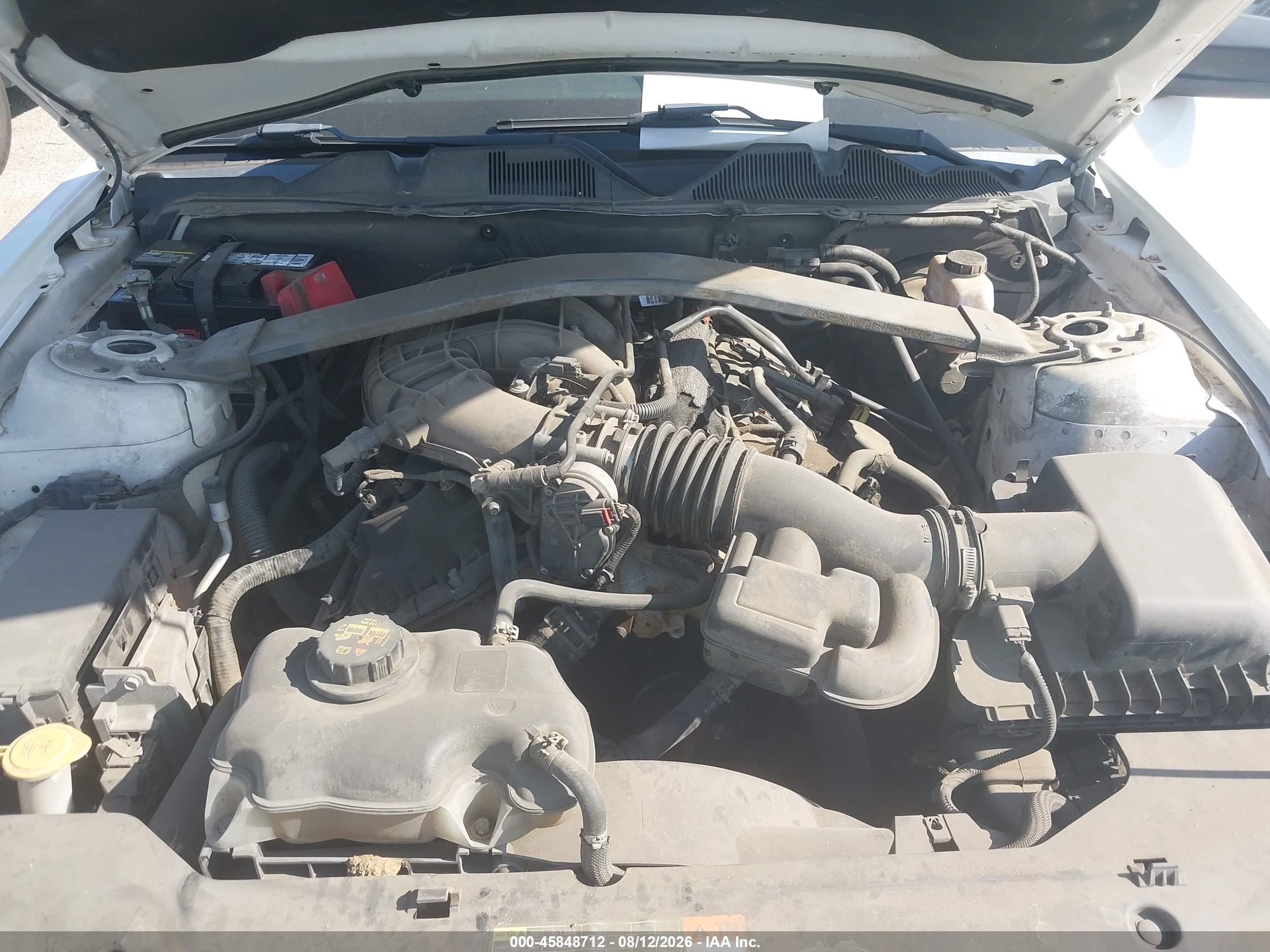 2012 Ford Mustang V6 White vin: 1ZVBP8EM5C5222391