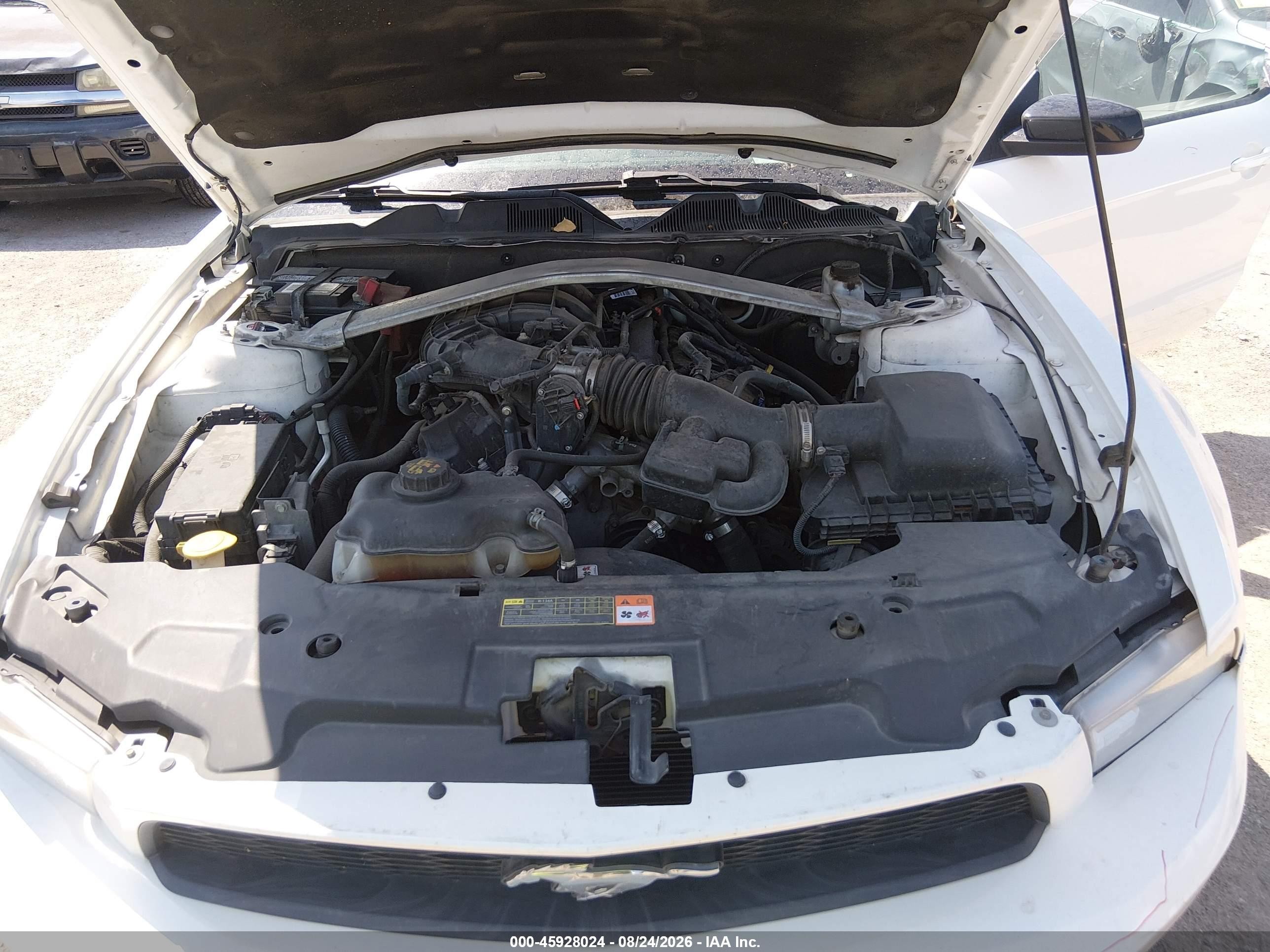 2012 Ford Mustang V6 Белый vin: 1ZVBP8EM5C5273194