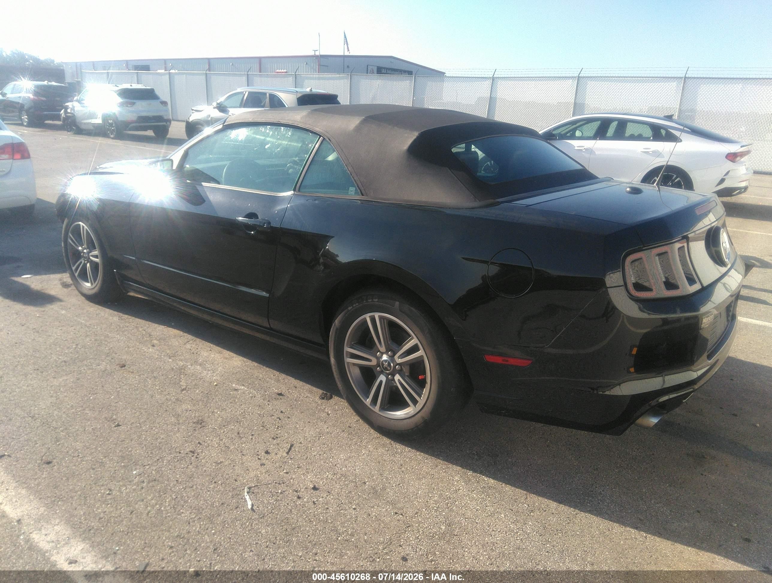 2013 Ford Mustang V6 Premium Black vin: 1ZVBP8EM5D5203549