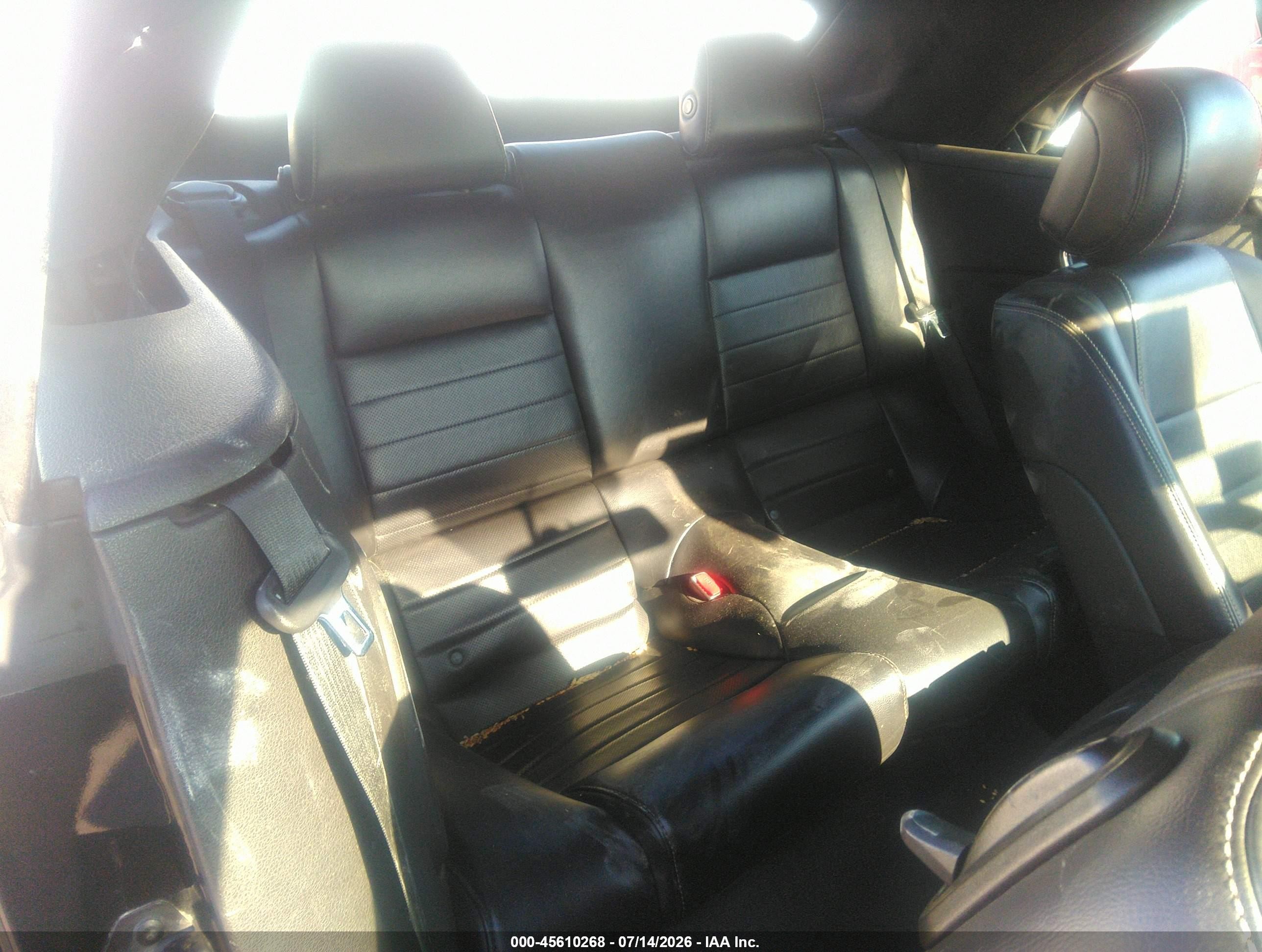 2013 Ford Mustang V6 Premium Black vin: 1ZVBP8EM5D5203549