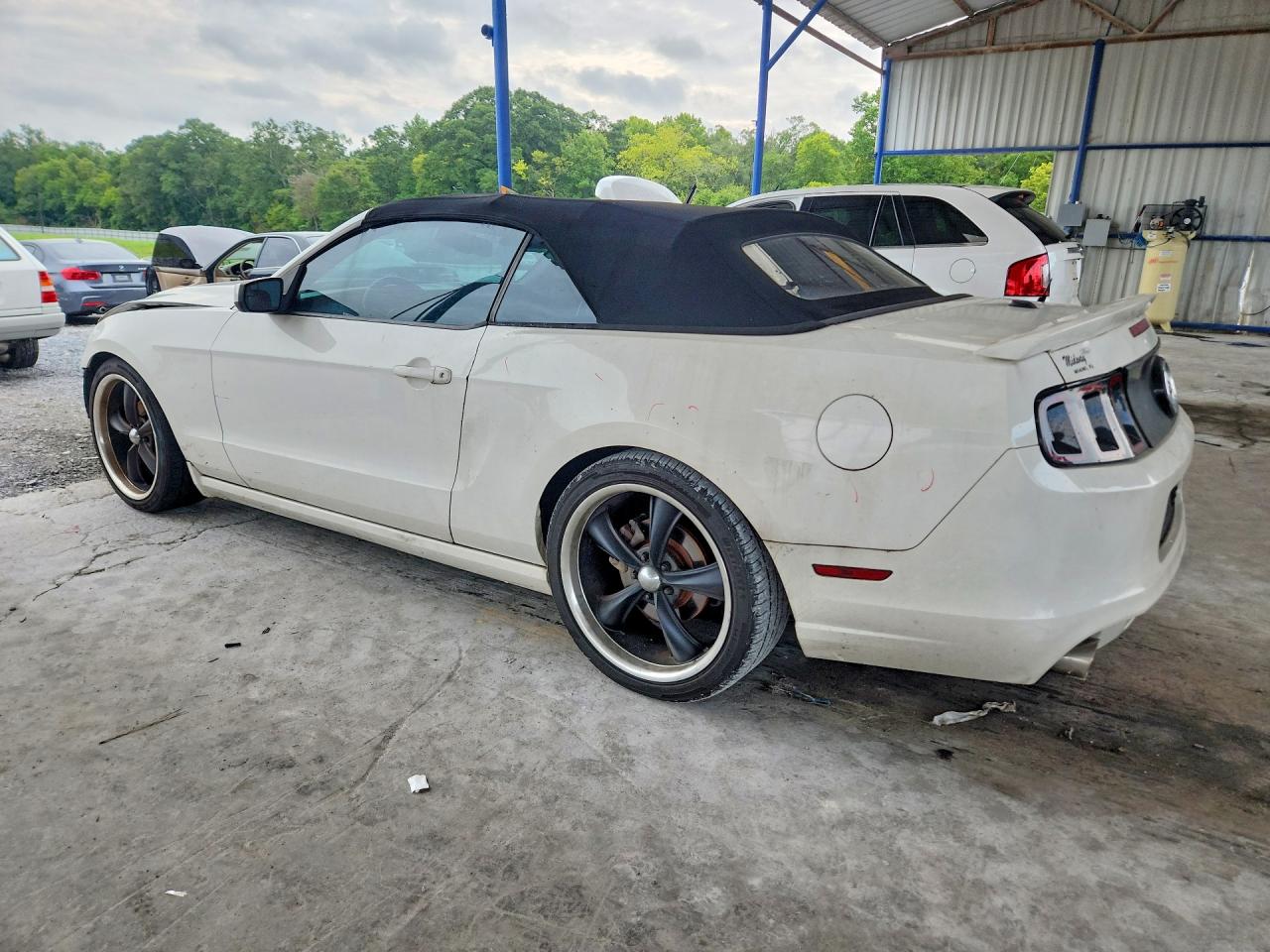 2013 Ford Mustang White vin: 1ZVBP8EM5D5226071