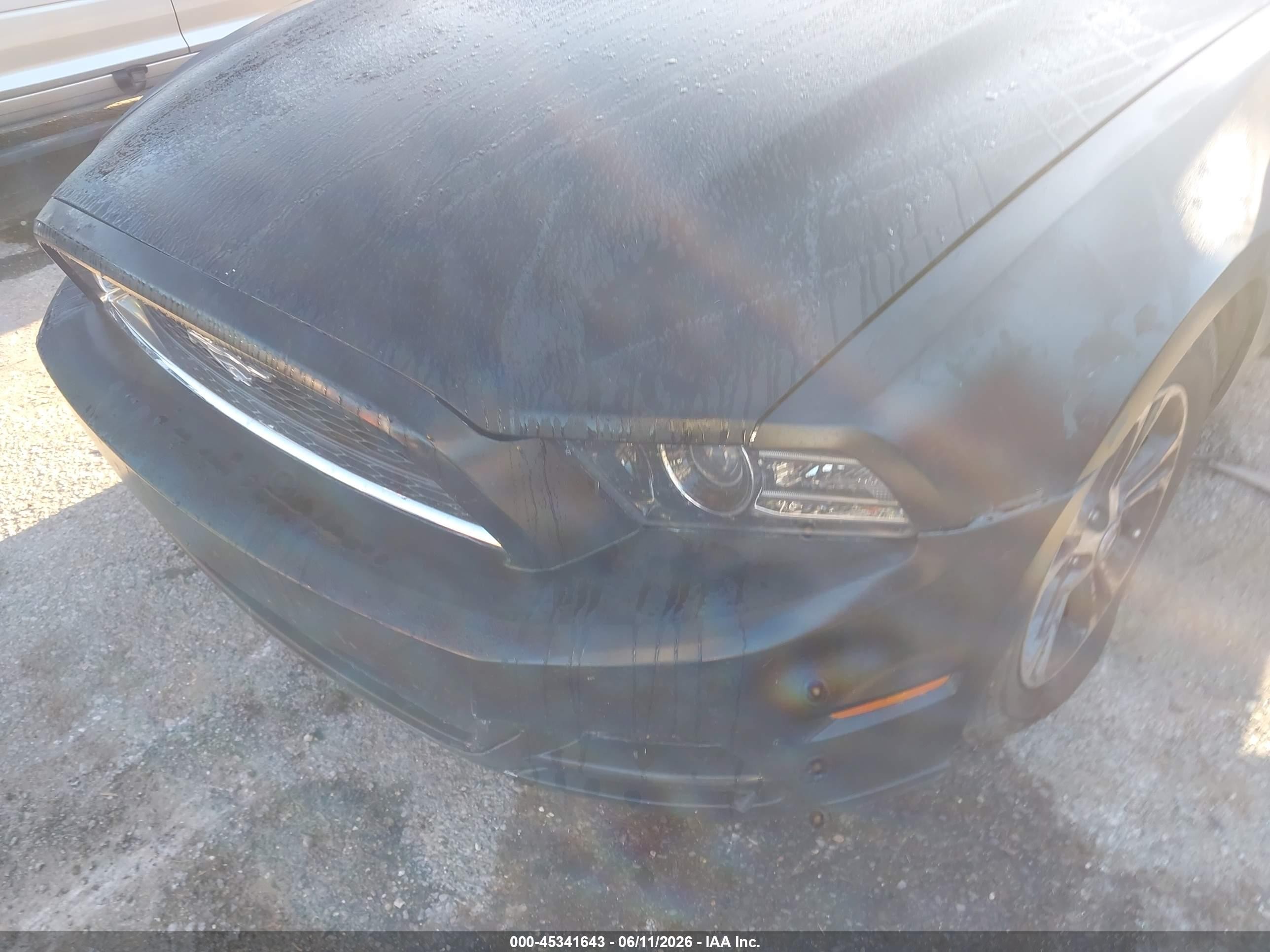 2014 Ford Mustang V6 Premium Black vin: 1ZVBP8EM5E5300221