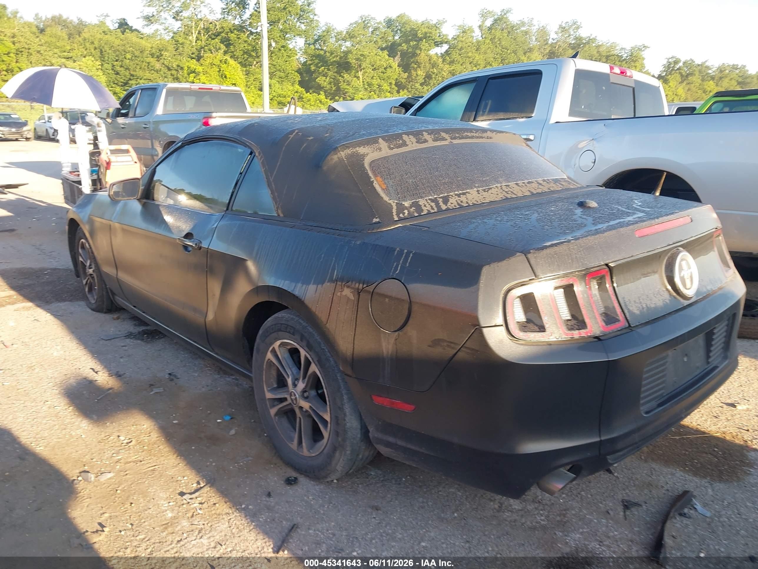 2014 Ford Mustang V6 Premium Black vin: 1ZVBP8EM5E5300221